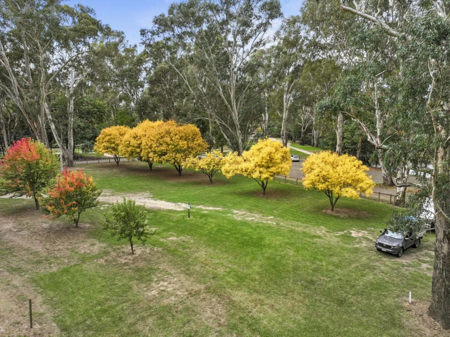 BIG4 Tiny Away Escape at Seymour Riverside