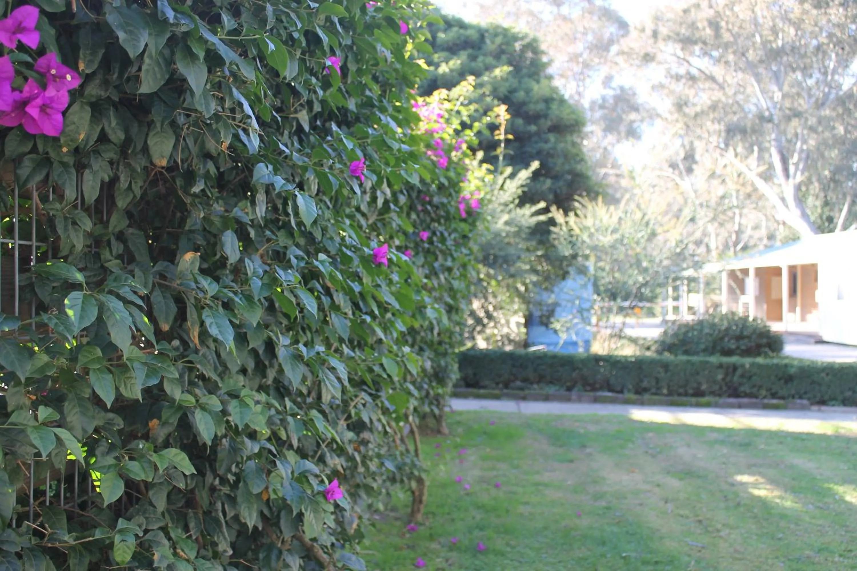 Spring in BIG4 Seymour Holiday Park