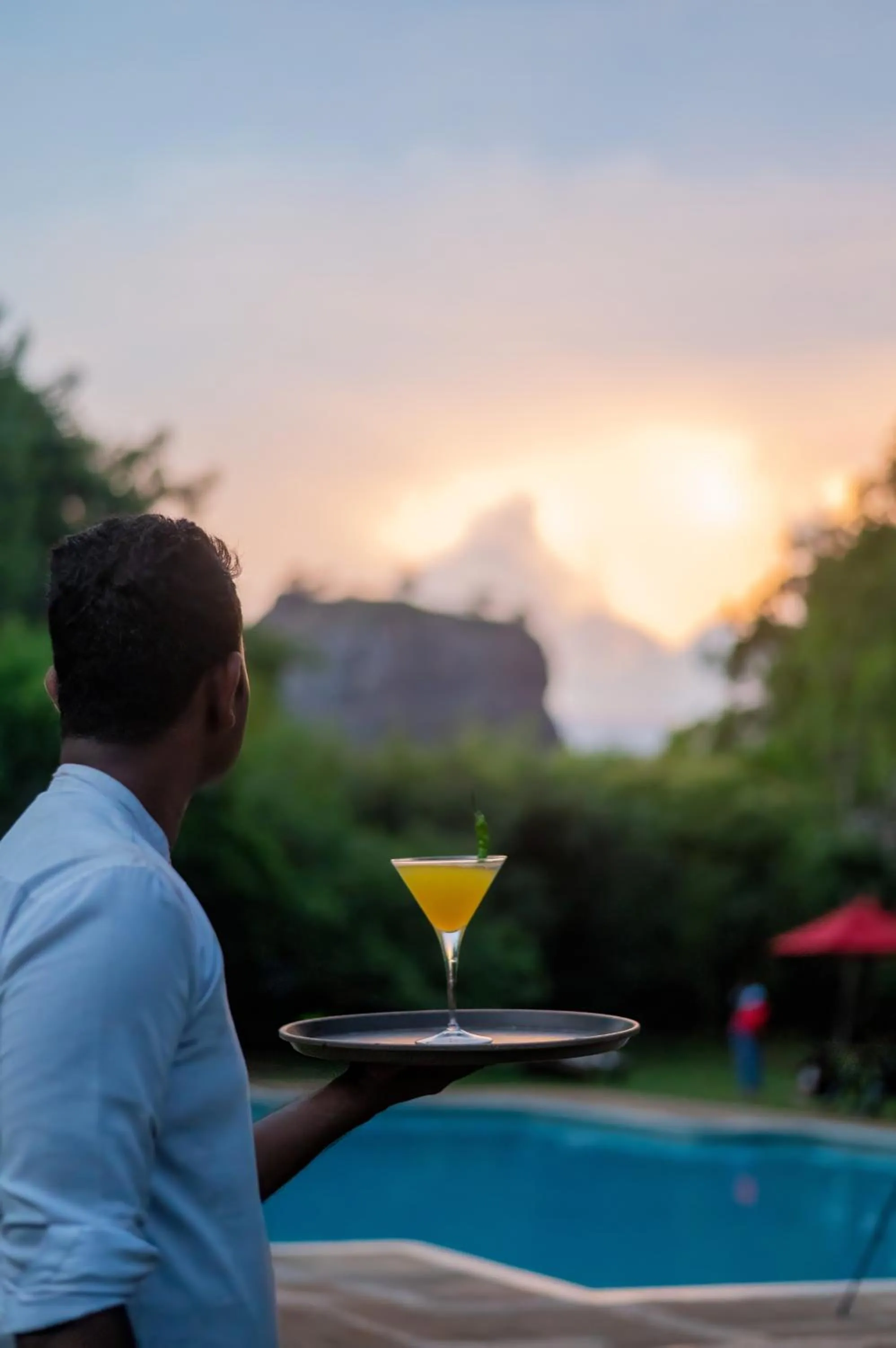View (from property/room) in Sigiriya Village