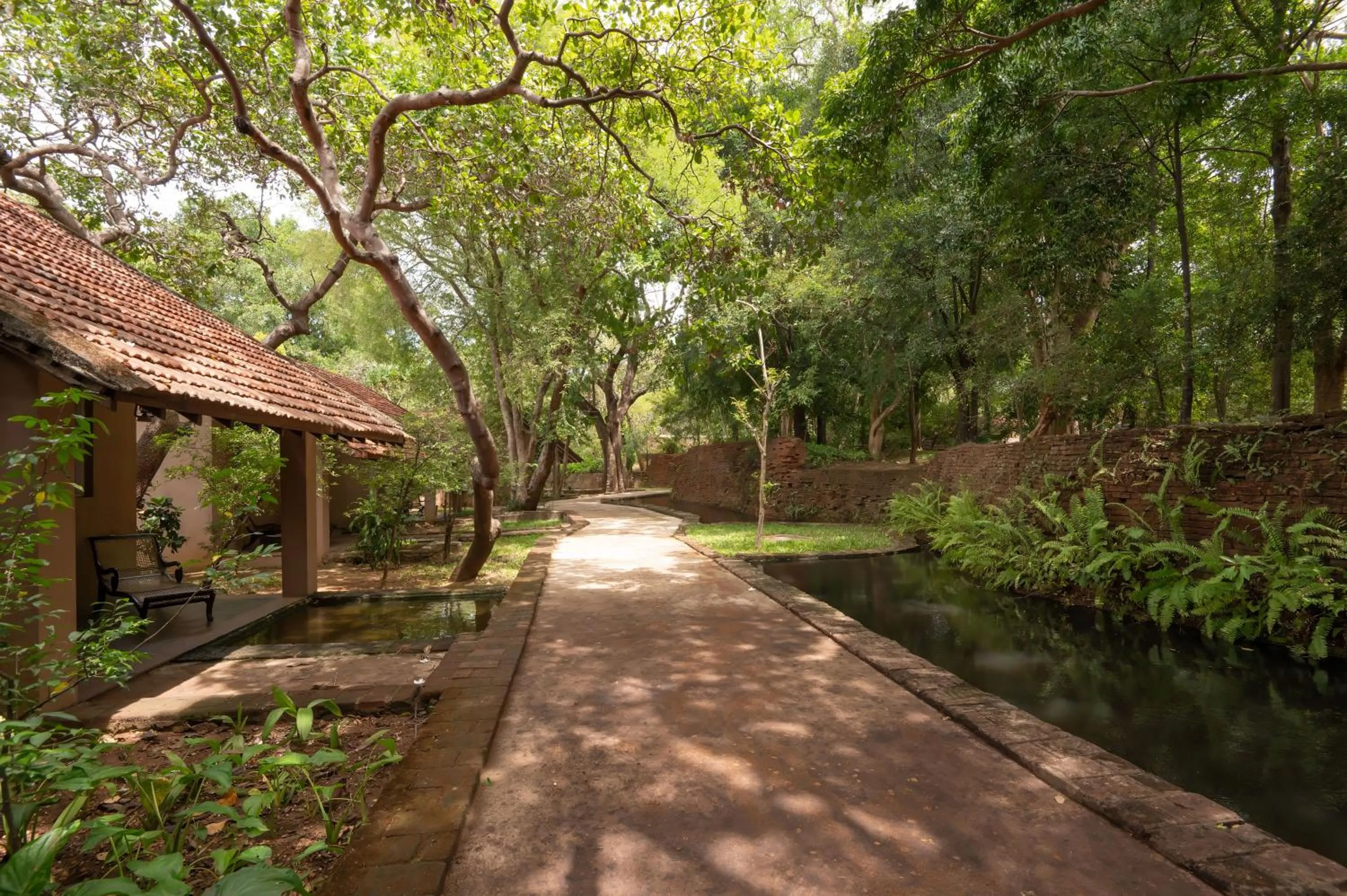 Garden in Sigiriya Village