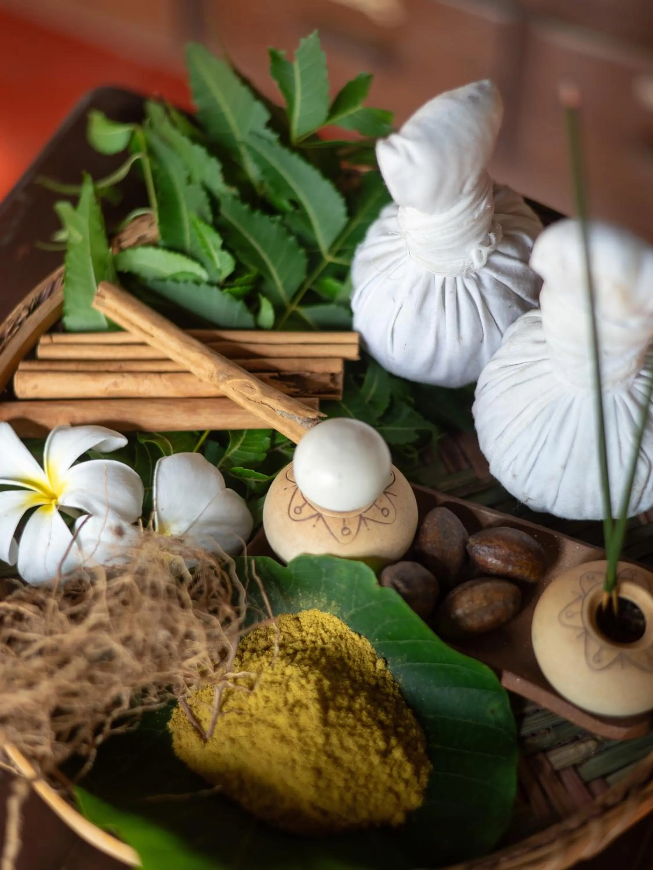 Spa and wellness centre/facilities in Sigiriya Village