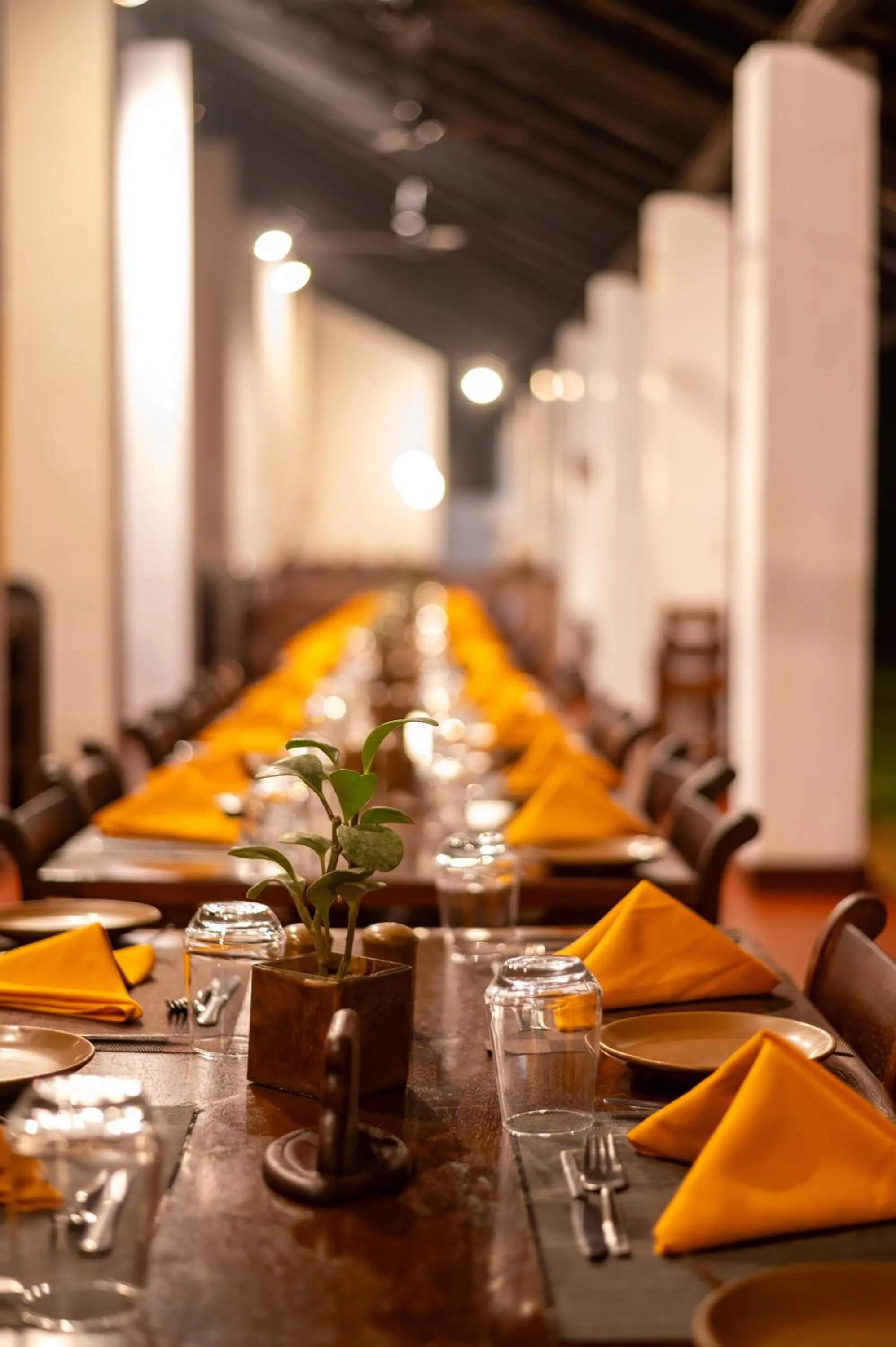 Restaurant/places to eat in Sigiriya Village