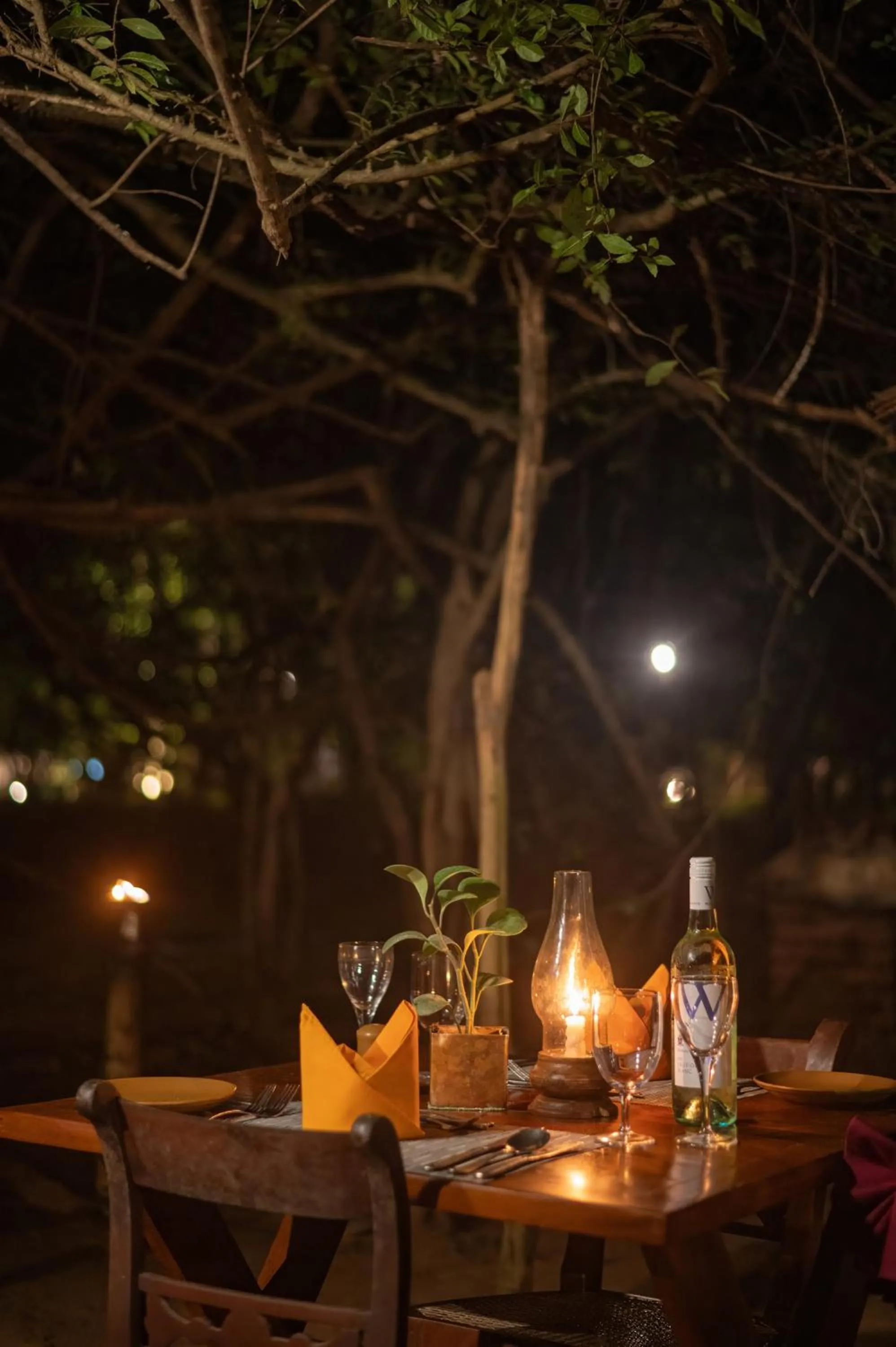 Food and drinks in Sigiriya Village