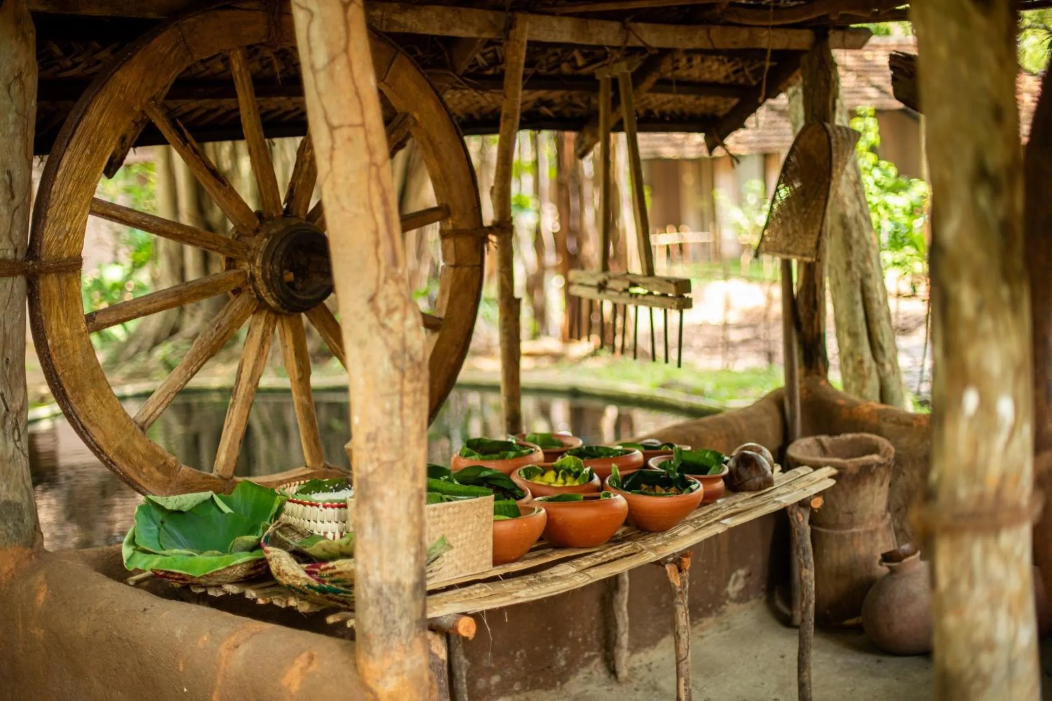 Meals in Sigiriya Village