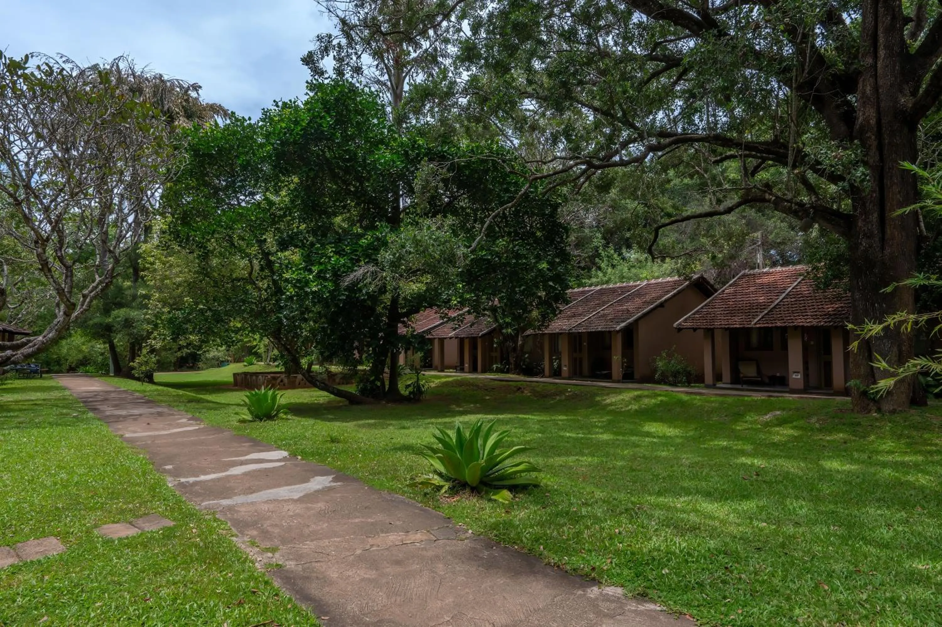 Garden in Sigiriya Village