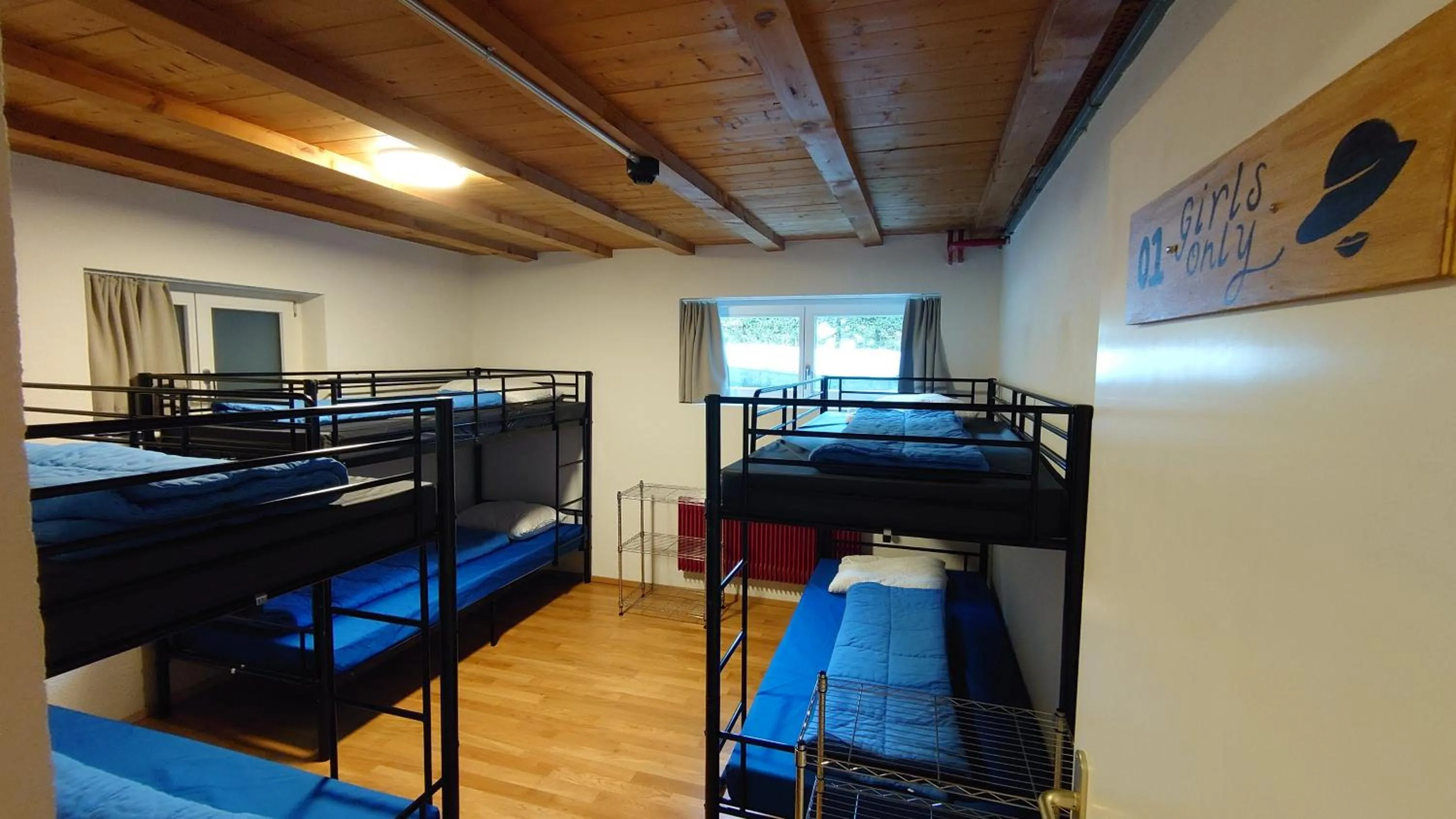 Bed in 6-Bed Female Dormitory Room with Shared Bathroom in Naturfreunde Hostel Grindelwald