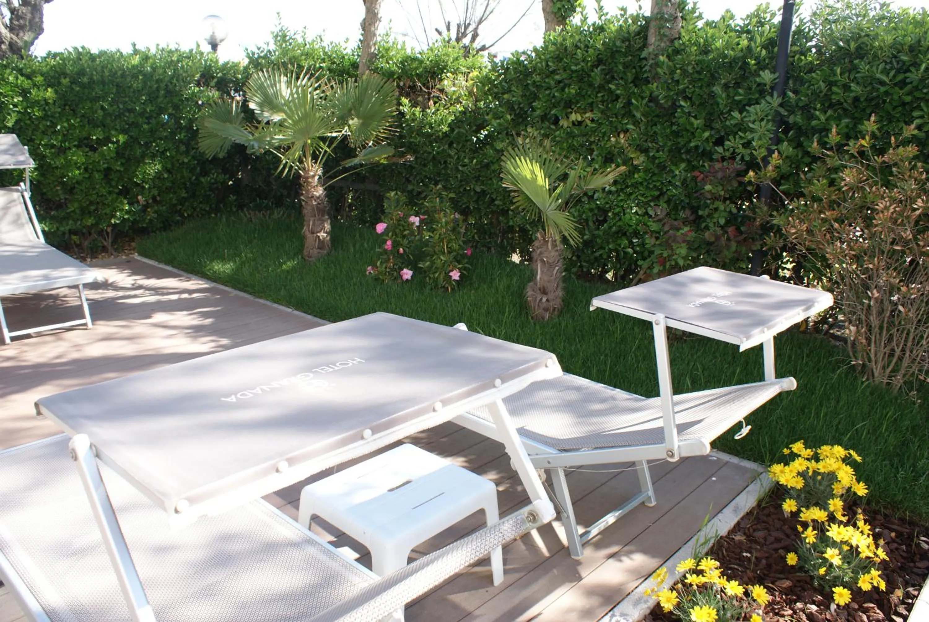 Garden in Hotel Granada