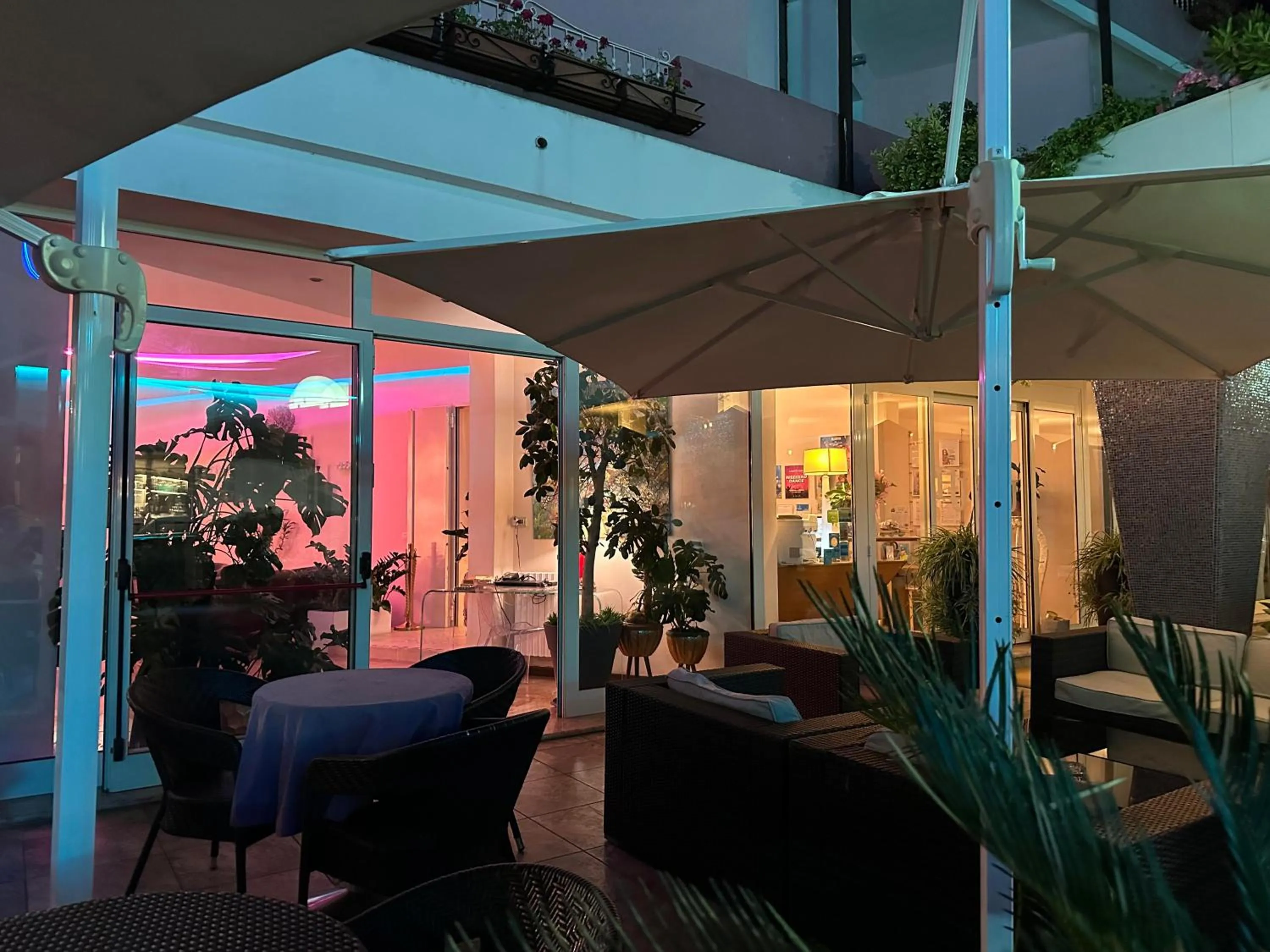 Garden in Hotel Julia