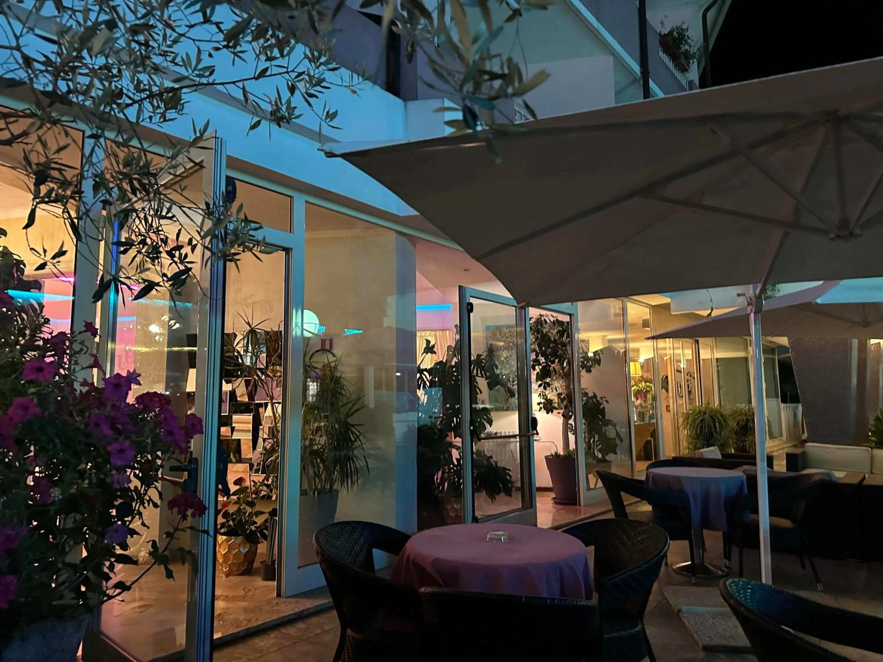 Garden in Hotel Julia