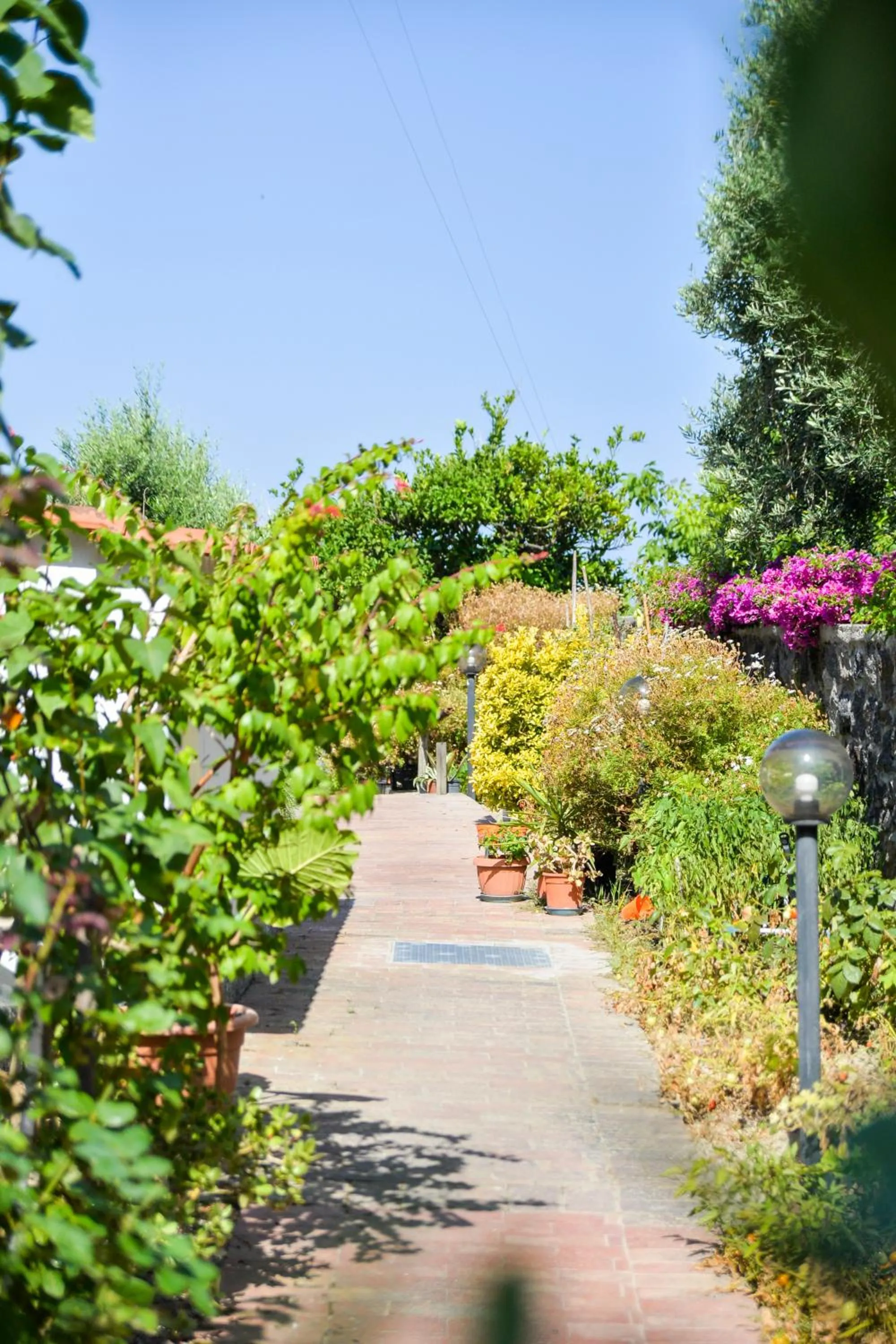 Garden in Villa Erade