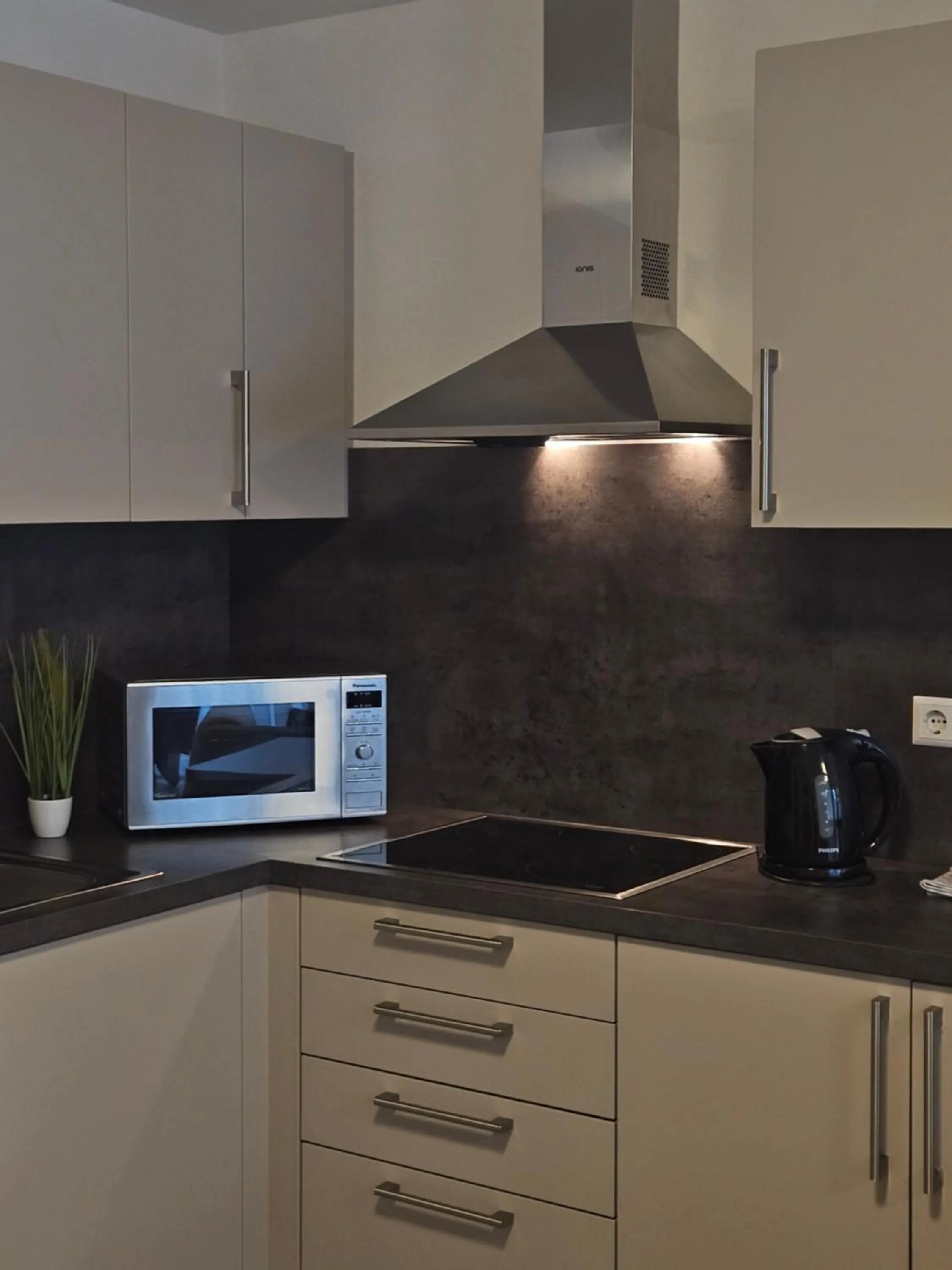 Kitchen or kitchenette in Hotel & Mühlenapartments by AVERA Gernsbach GmbH