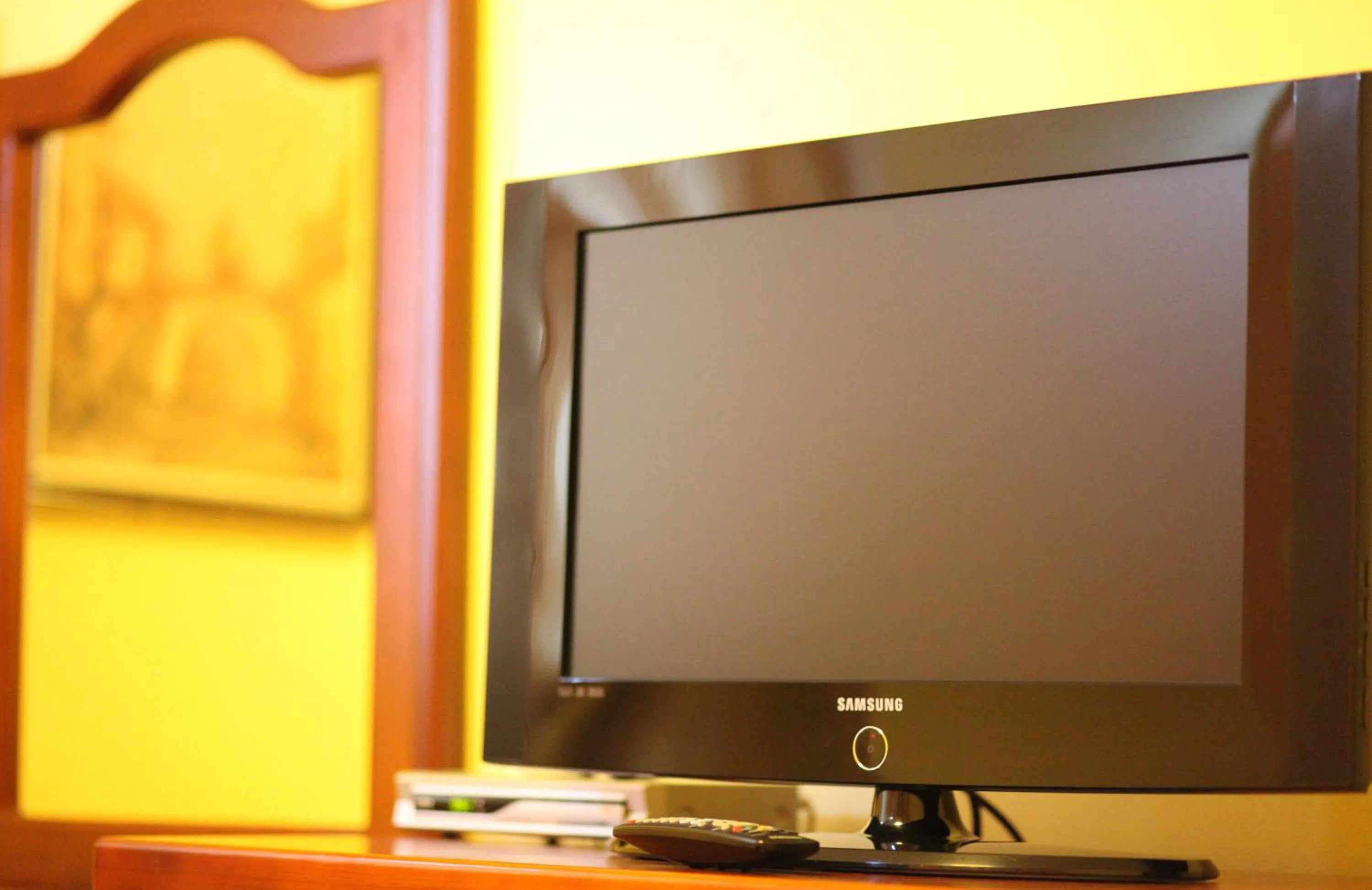 TV and multimedia in Hotel Laguna