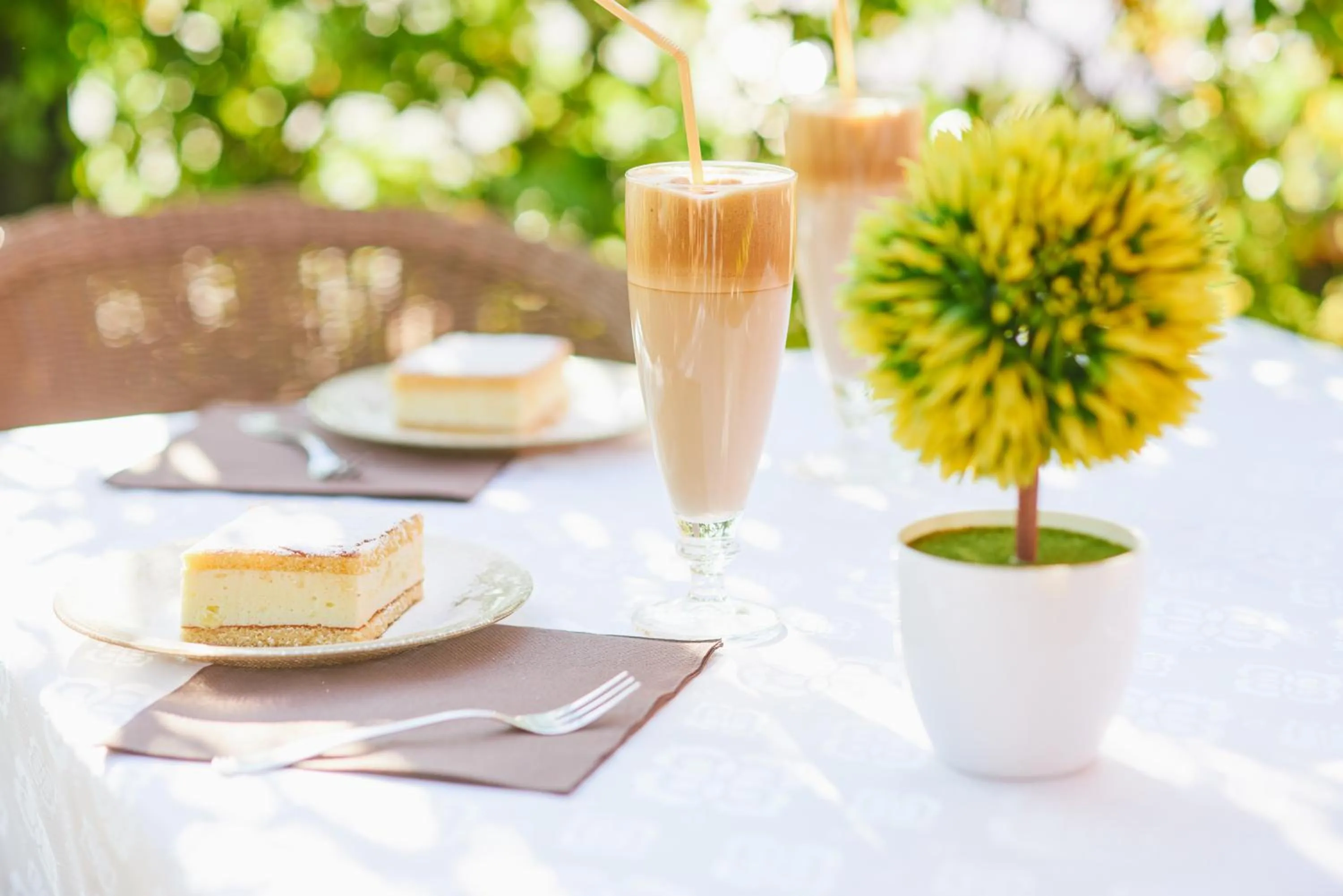 Garden in Hotel Laguna