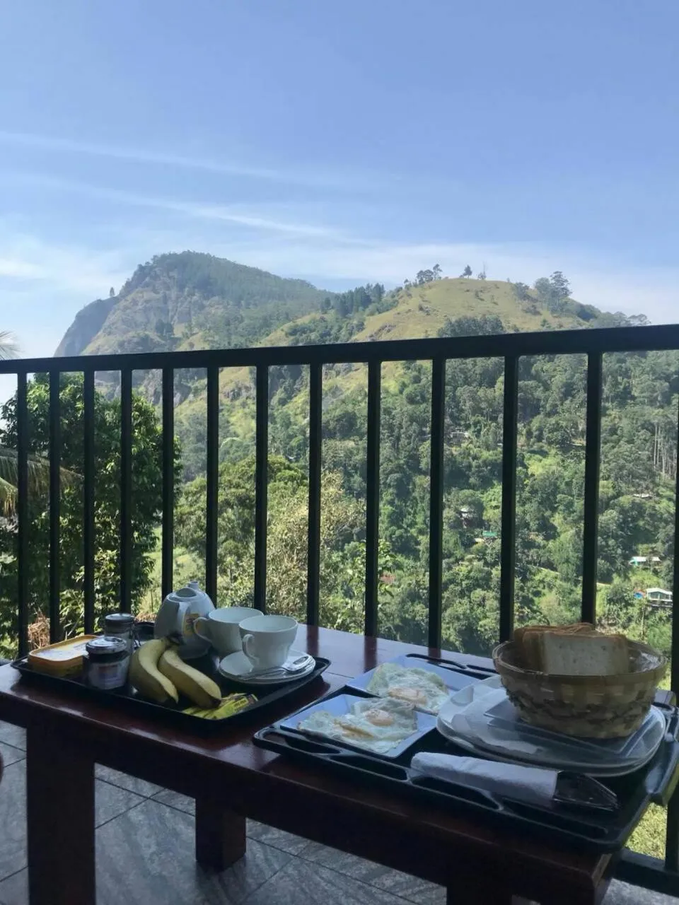 Balcony/Terrace in Viewfront Ella