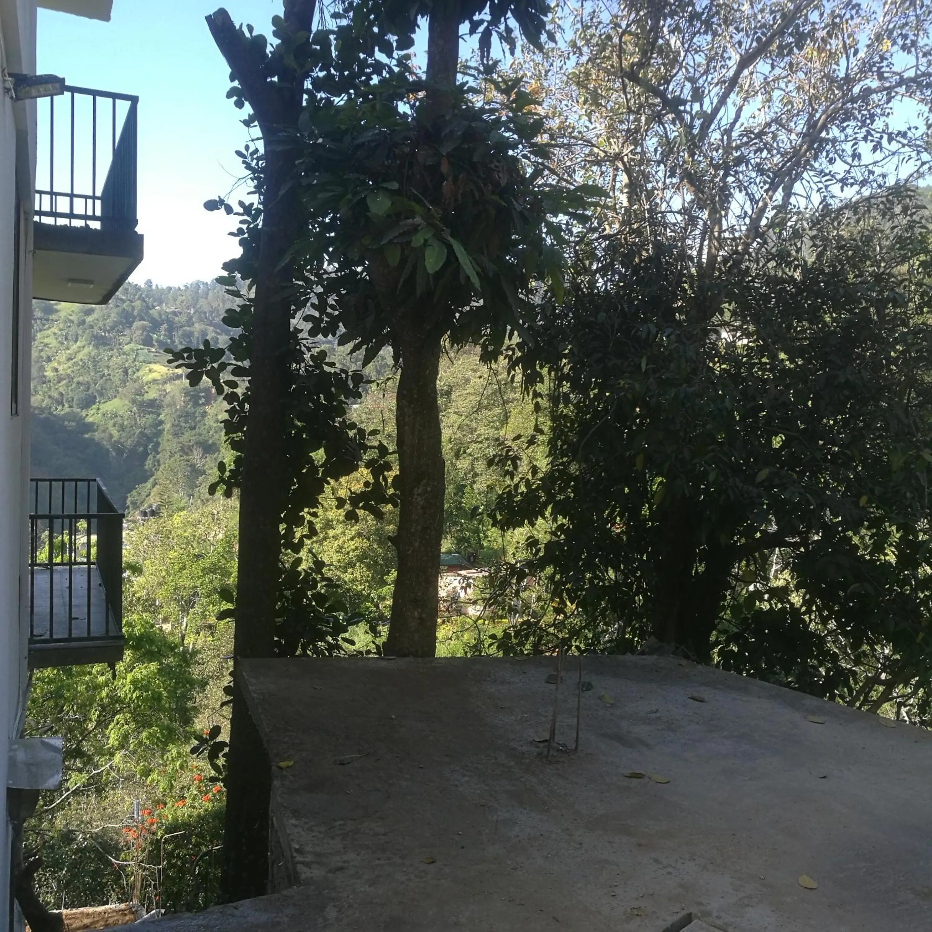 Natural landscape in Viewfront Ella