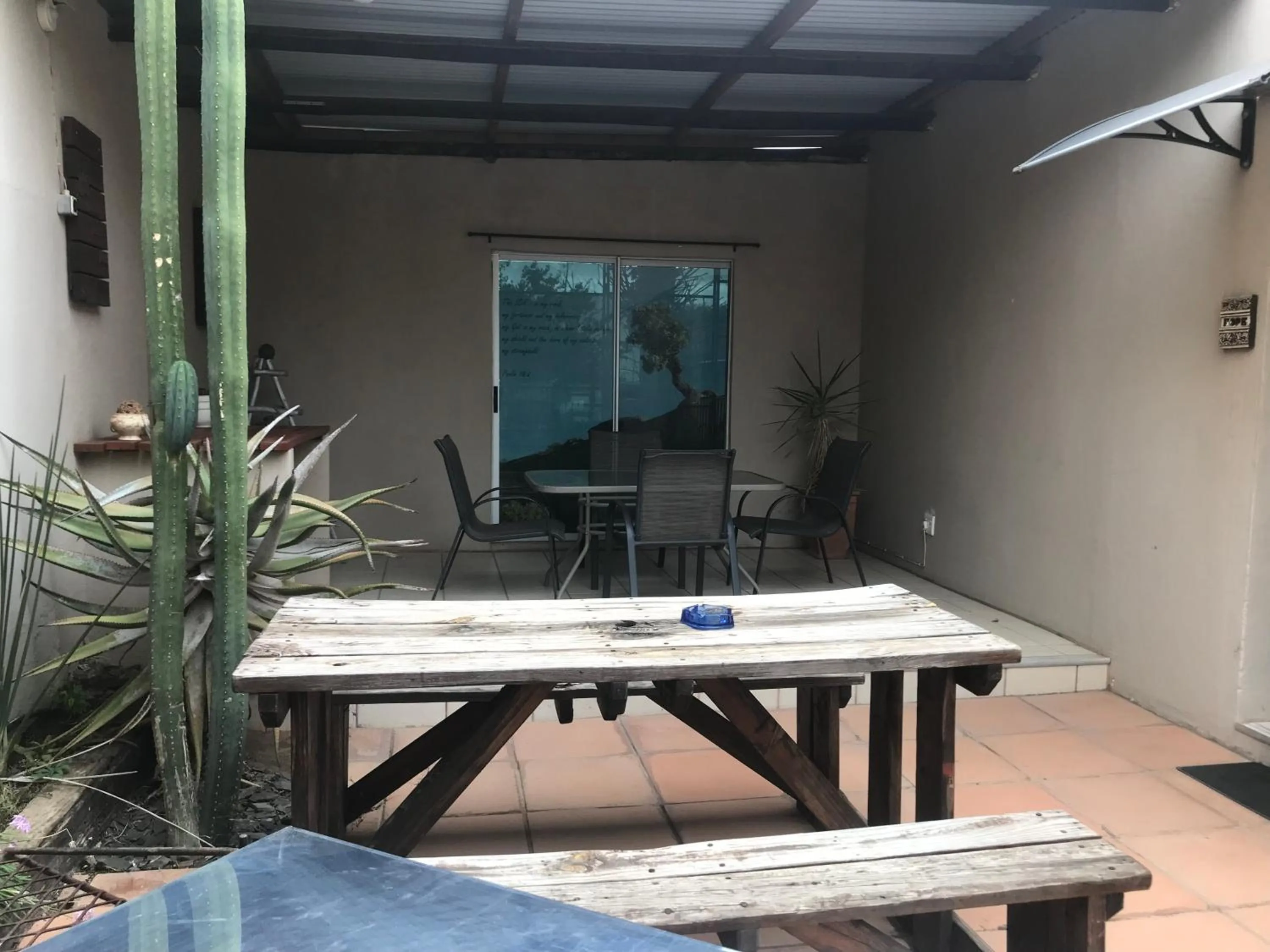 Lazy Gecko Accommodation