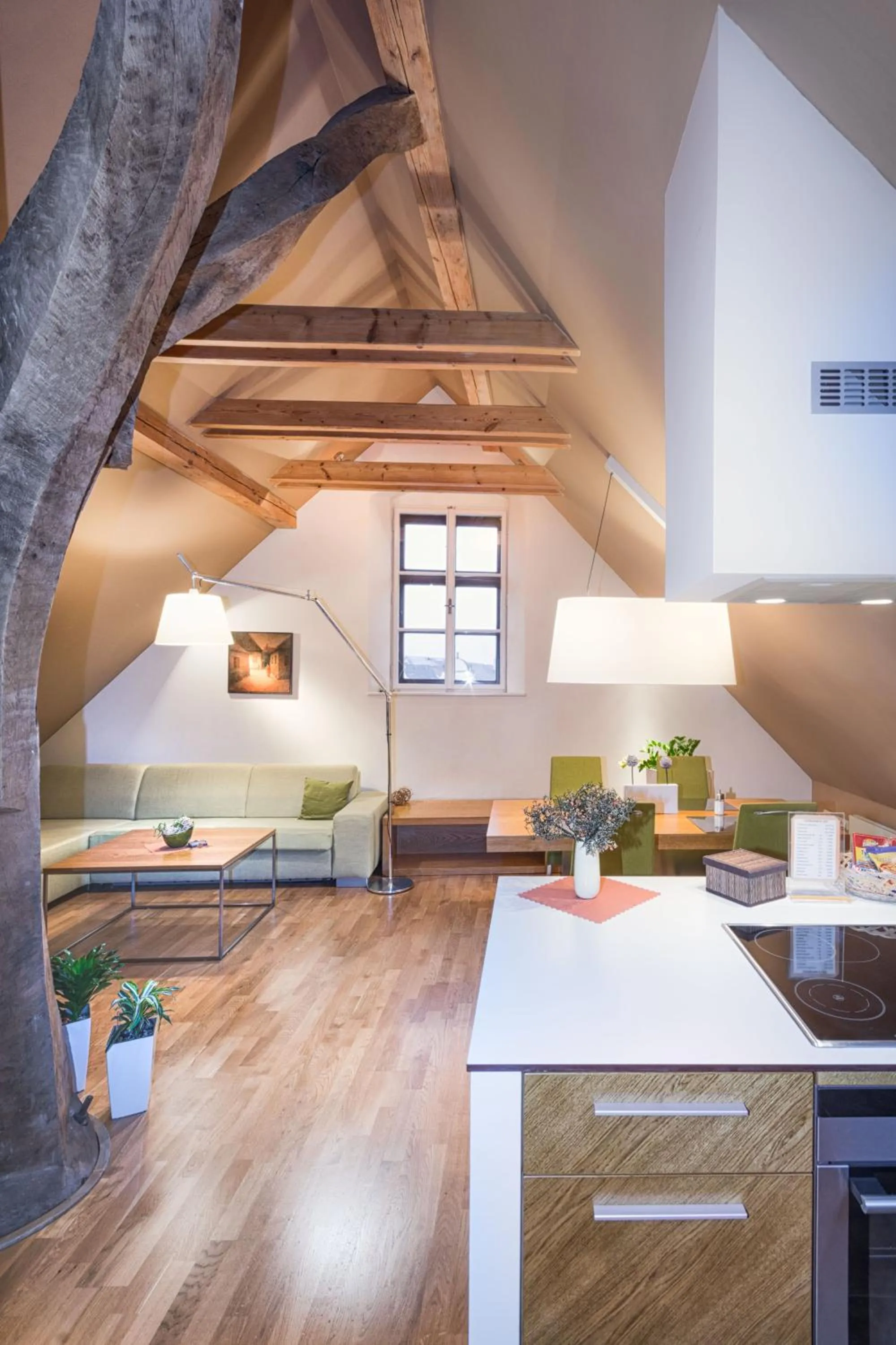 Photo of the whole room in Apartmany Chornitzeruv dum