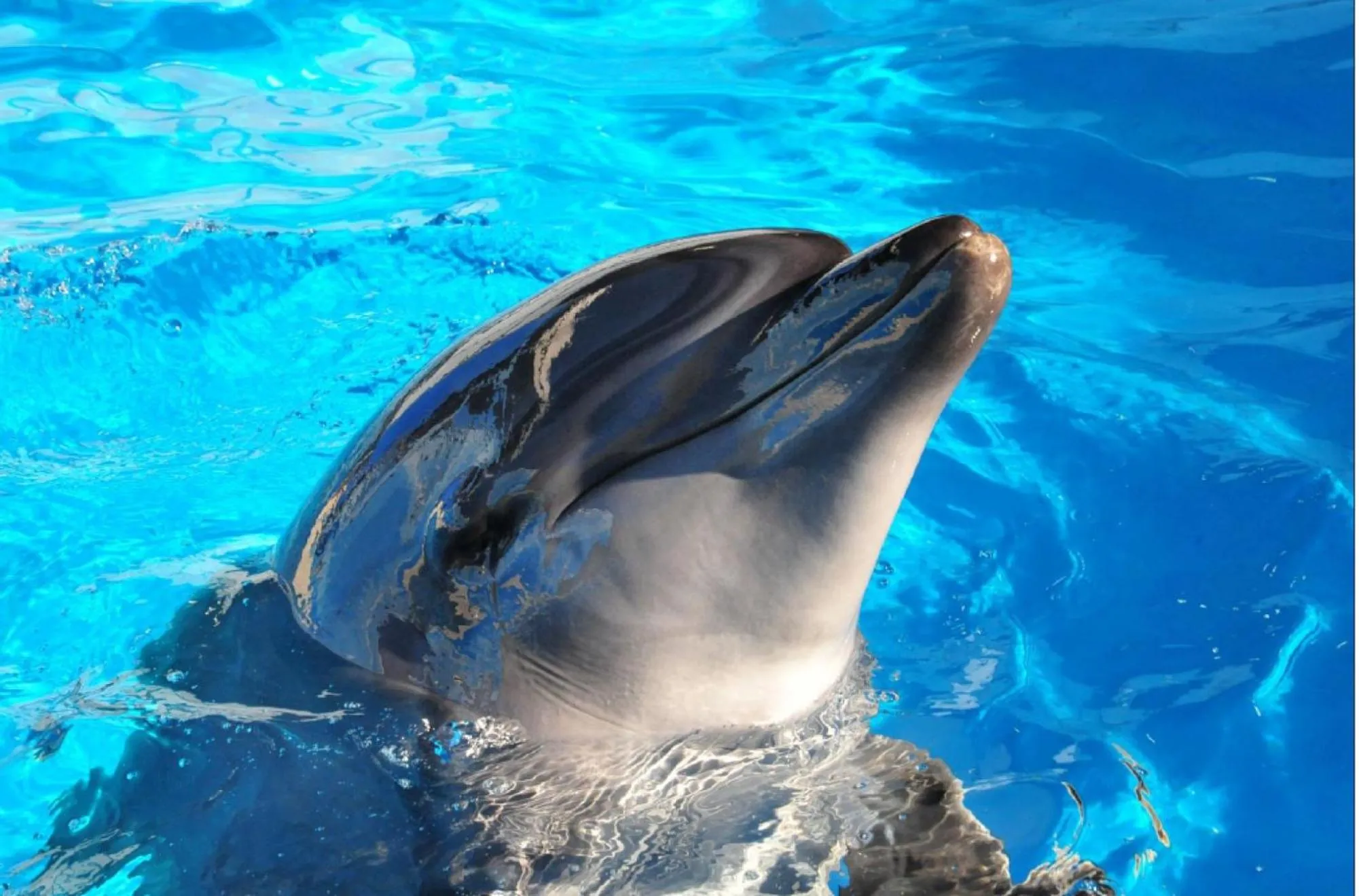 Nearby landmark in Shonandai Daiichi Hotel Fujisawa Yokohama