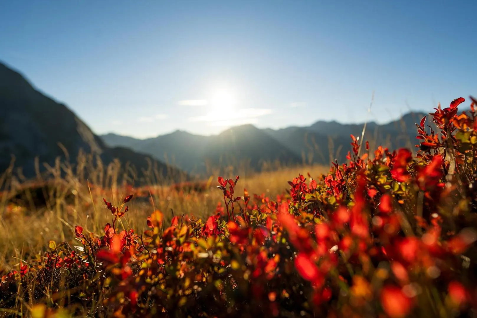 Hiking in Hotel zum grünen Tor