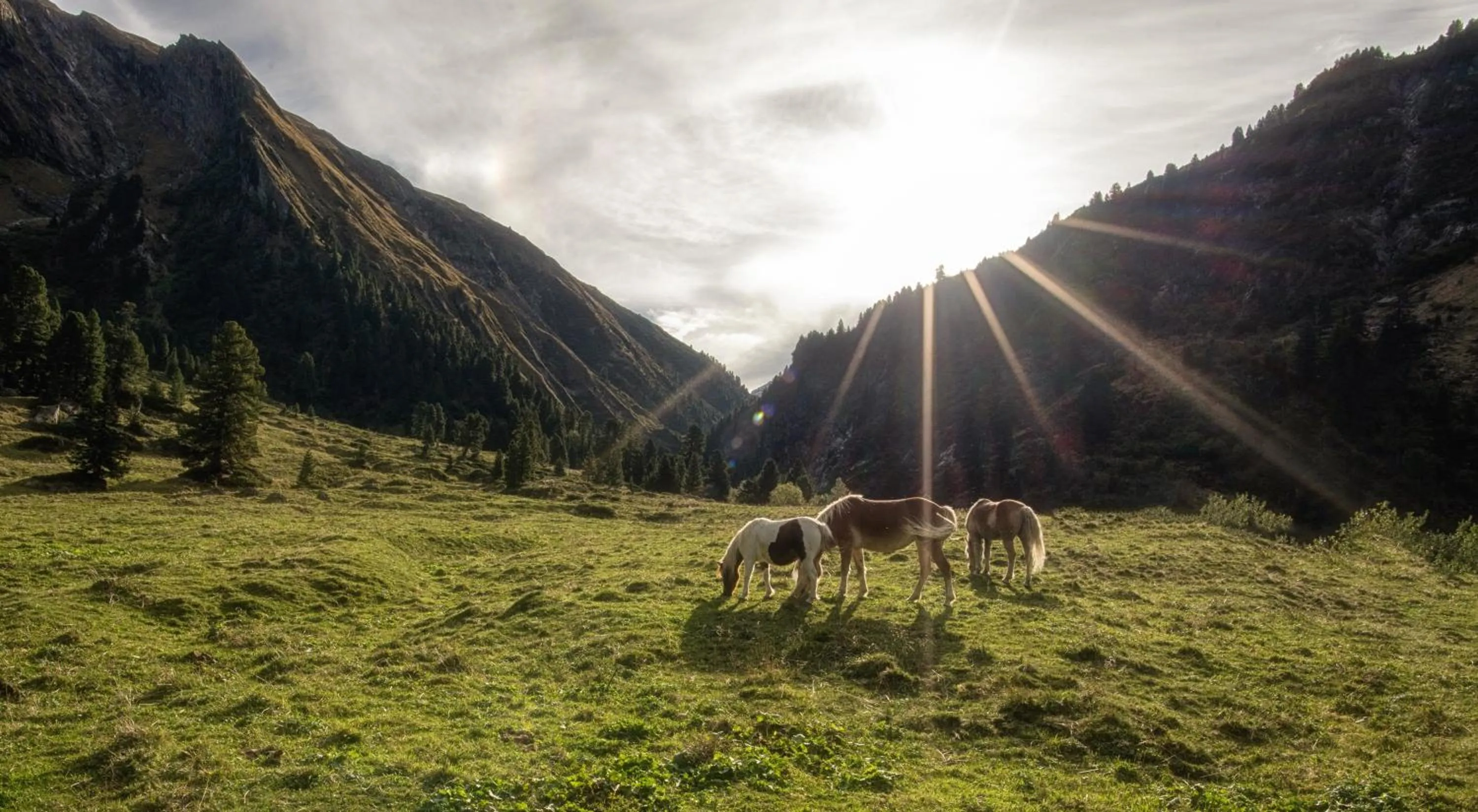 Hiking in Hotel zum grünen Tor