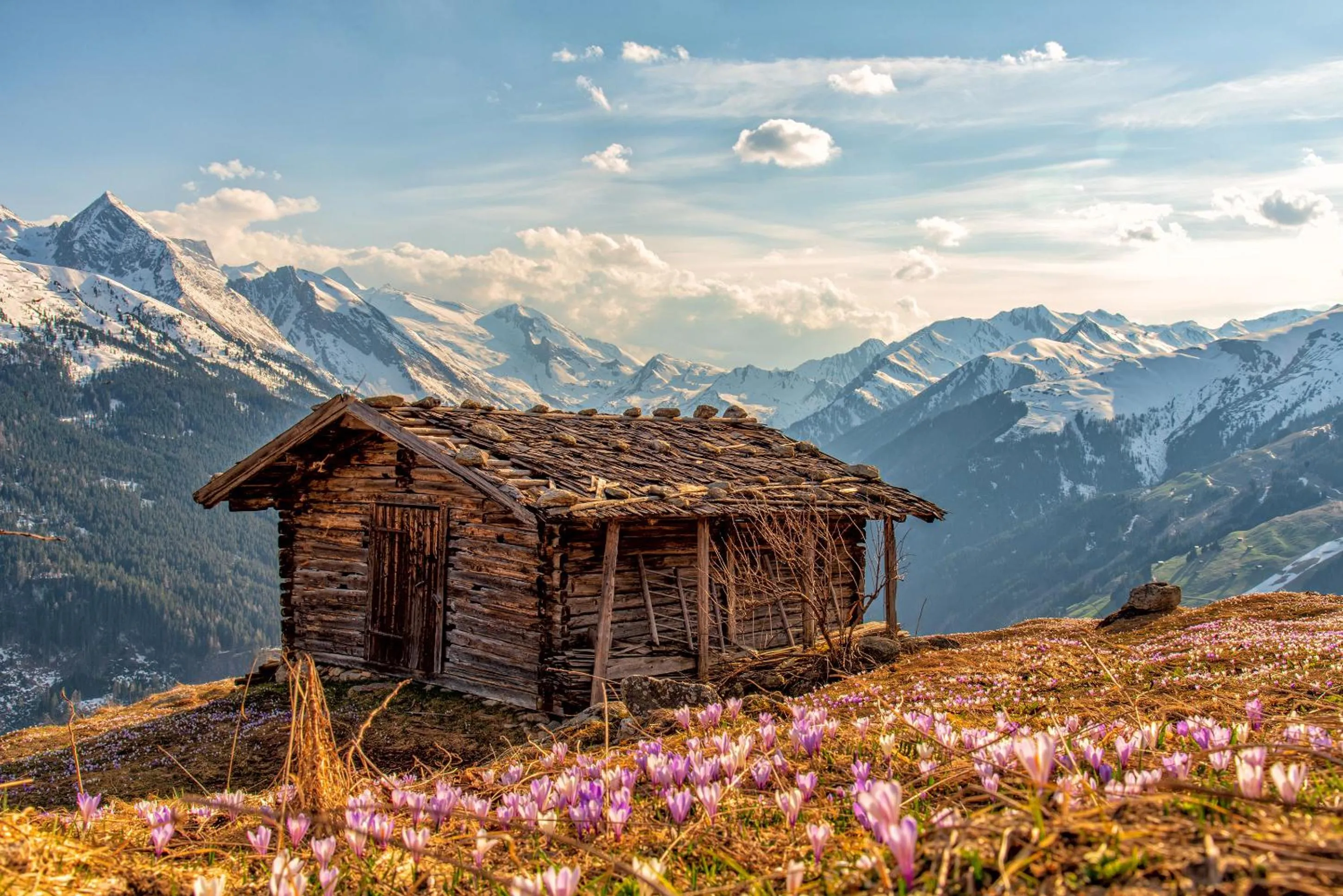 Natural landscape in Hotel zum grünen Tor