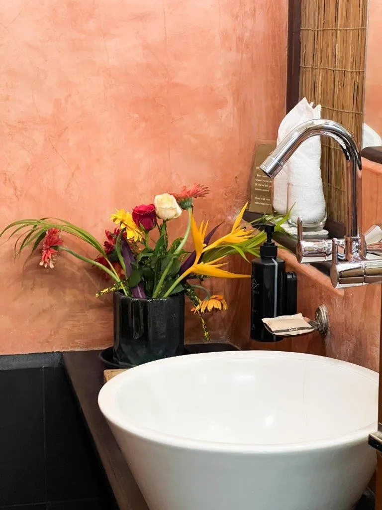 Mango Hill Auroville Pondicherry