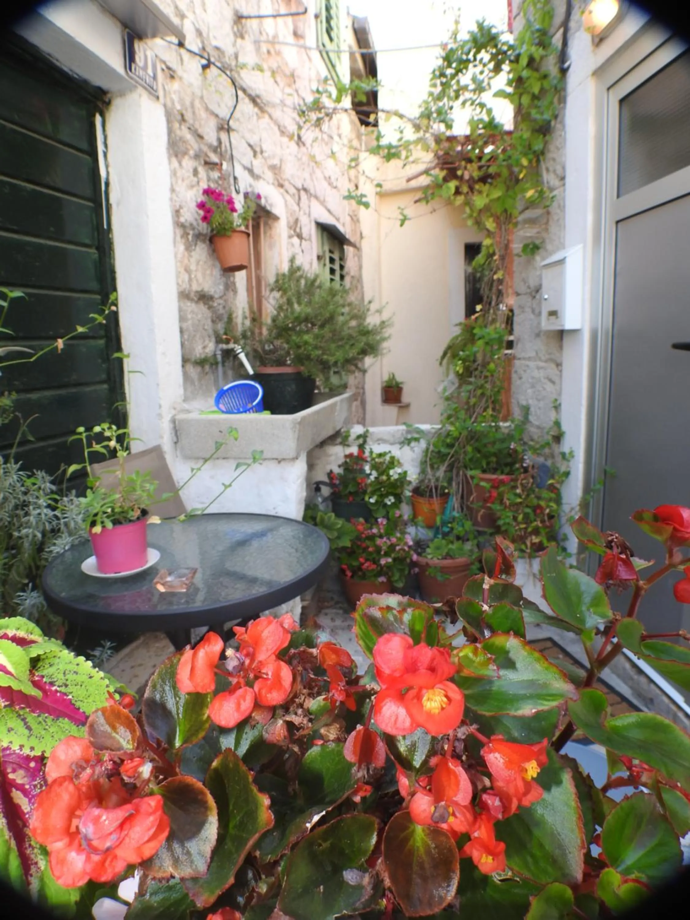 Patio in Apartments Kovacic_Grubisic