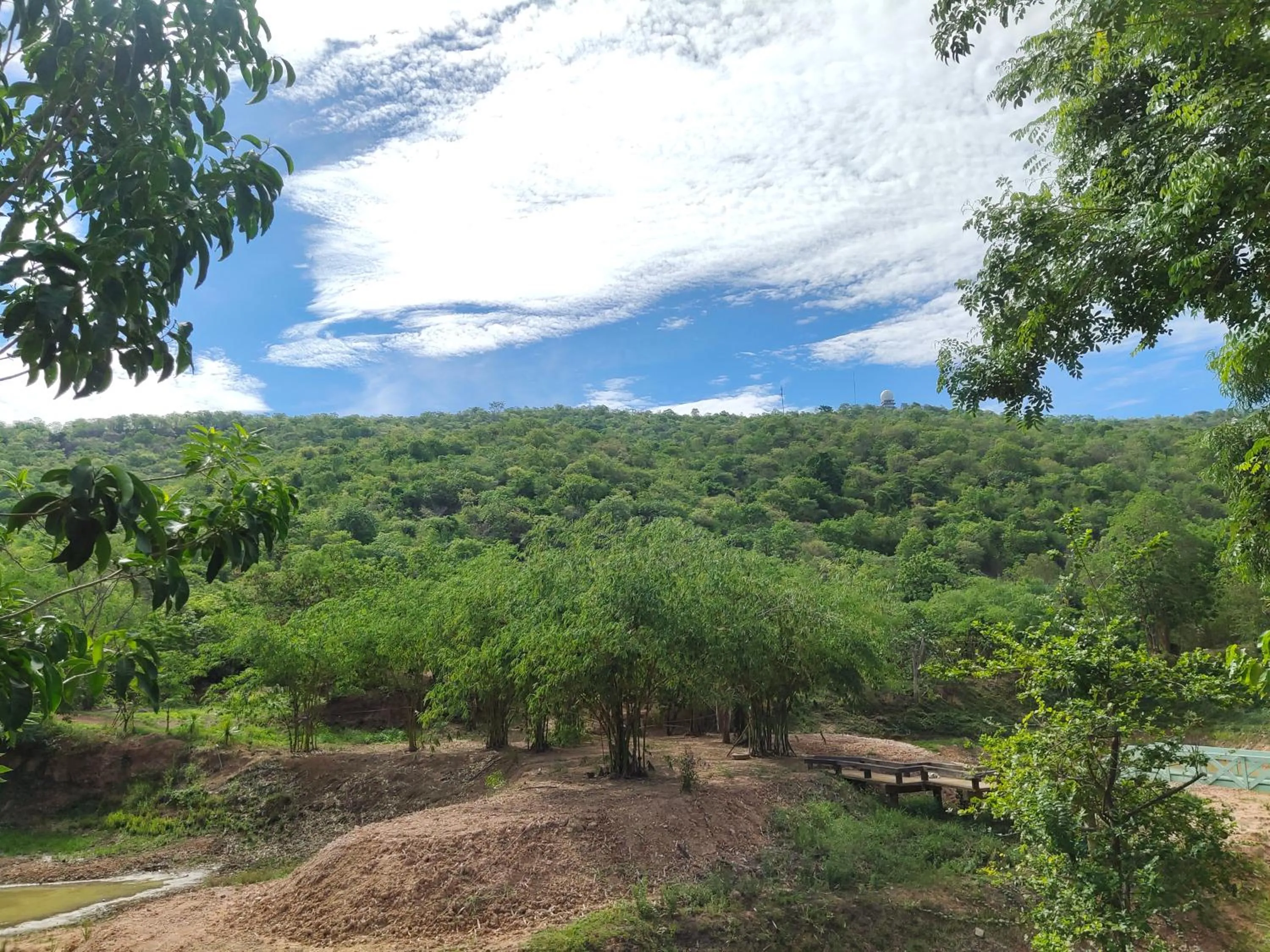 Mamaungpaa Hill resort