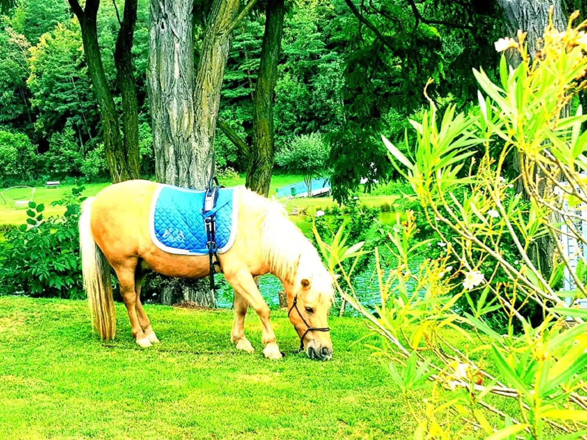 Property building in Hotel Admiral