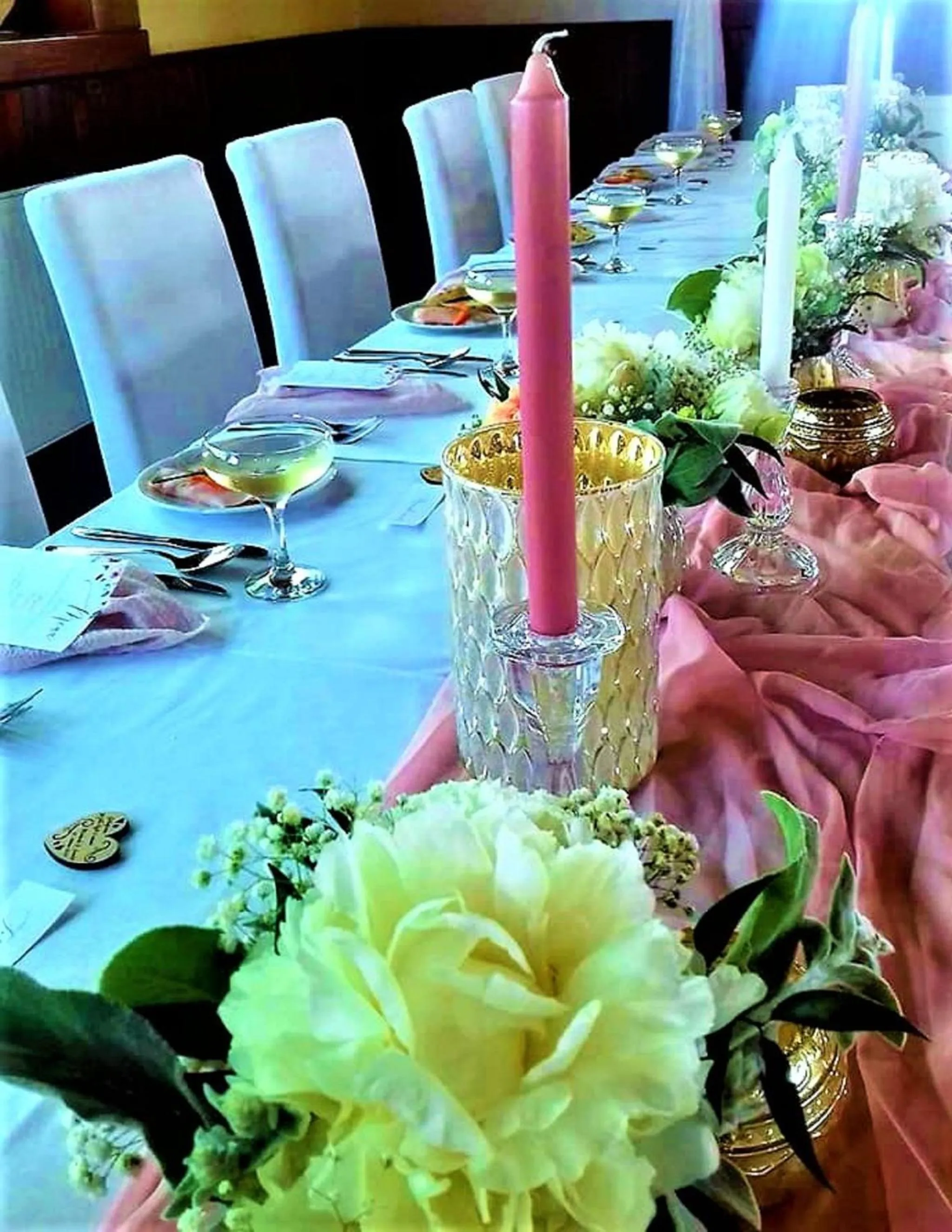 Restaurant/places to eat in Hotel Admiral