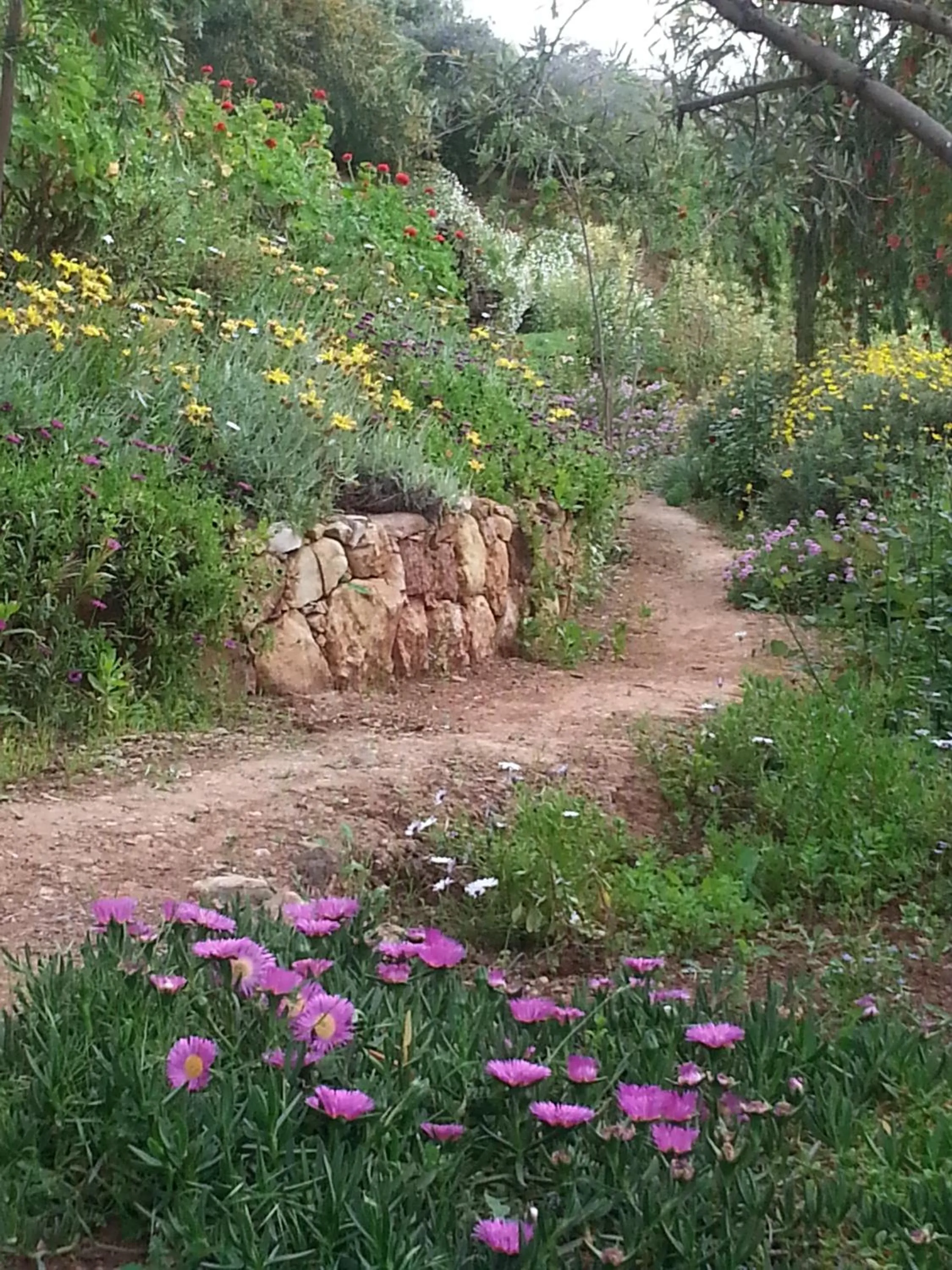Natural landscape in Domaine La Source