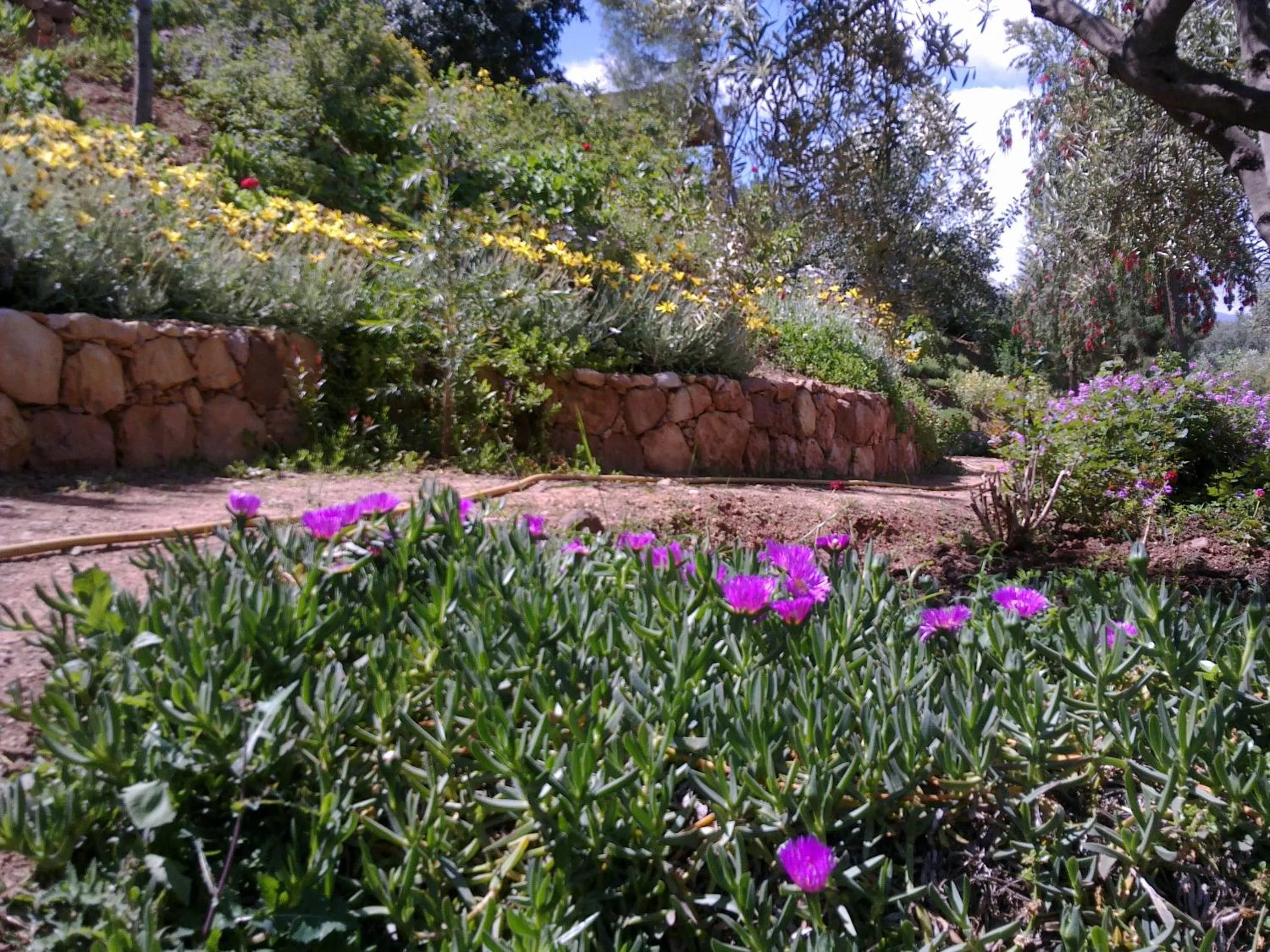 Garden in Domaine La Source