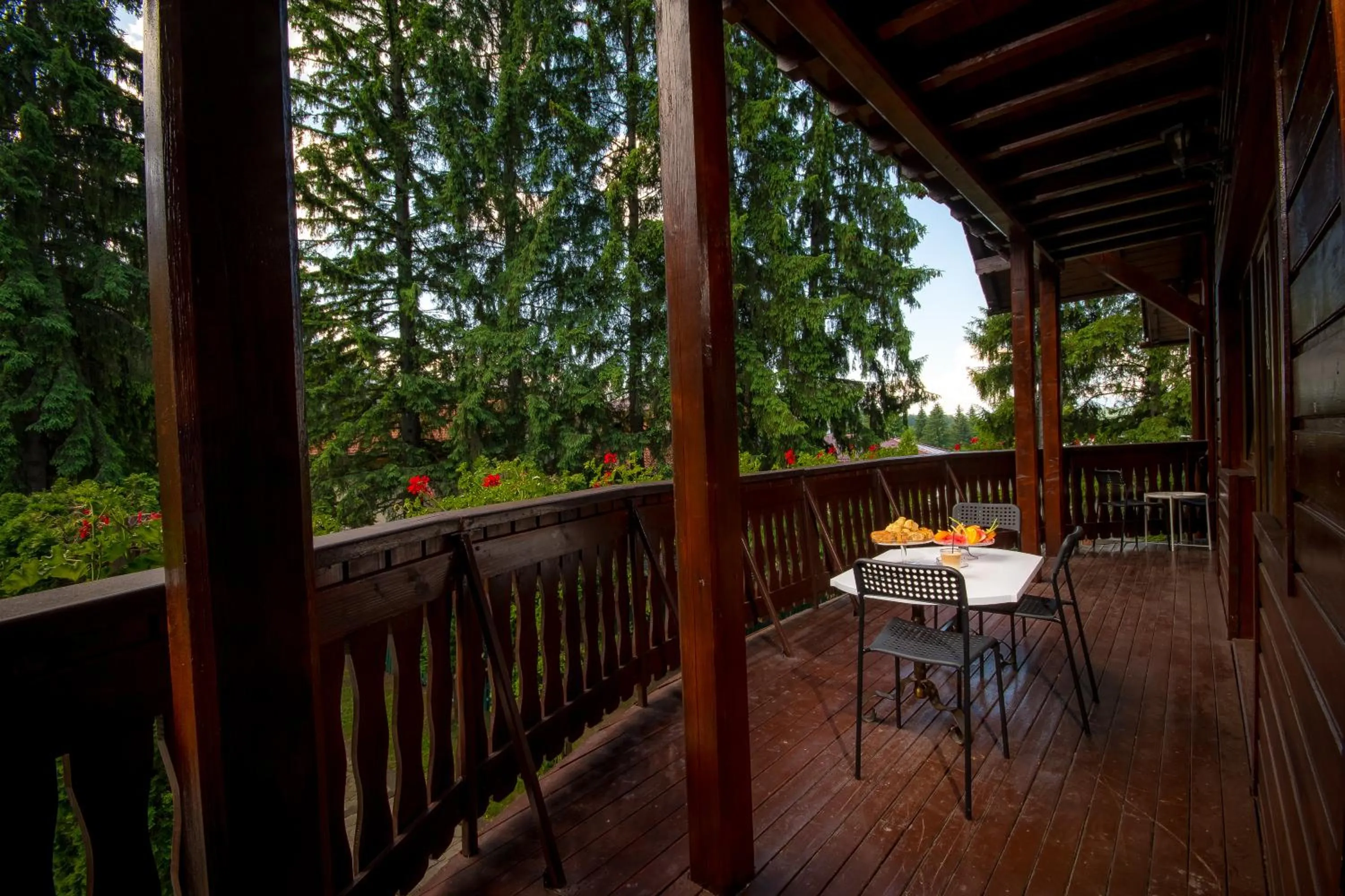 Balcony/Terrace in Vila Zorile
