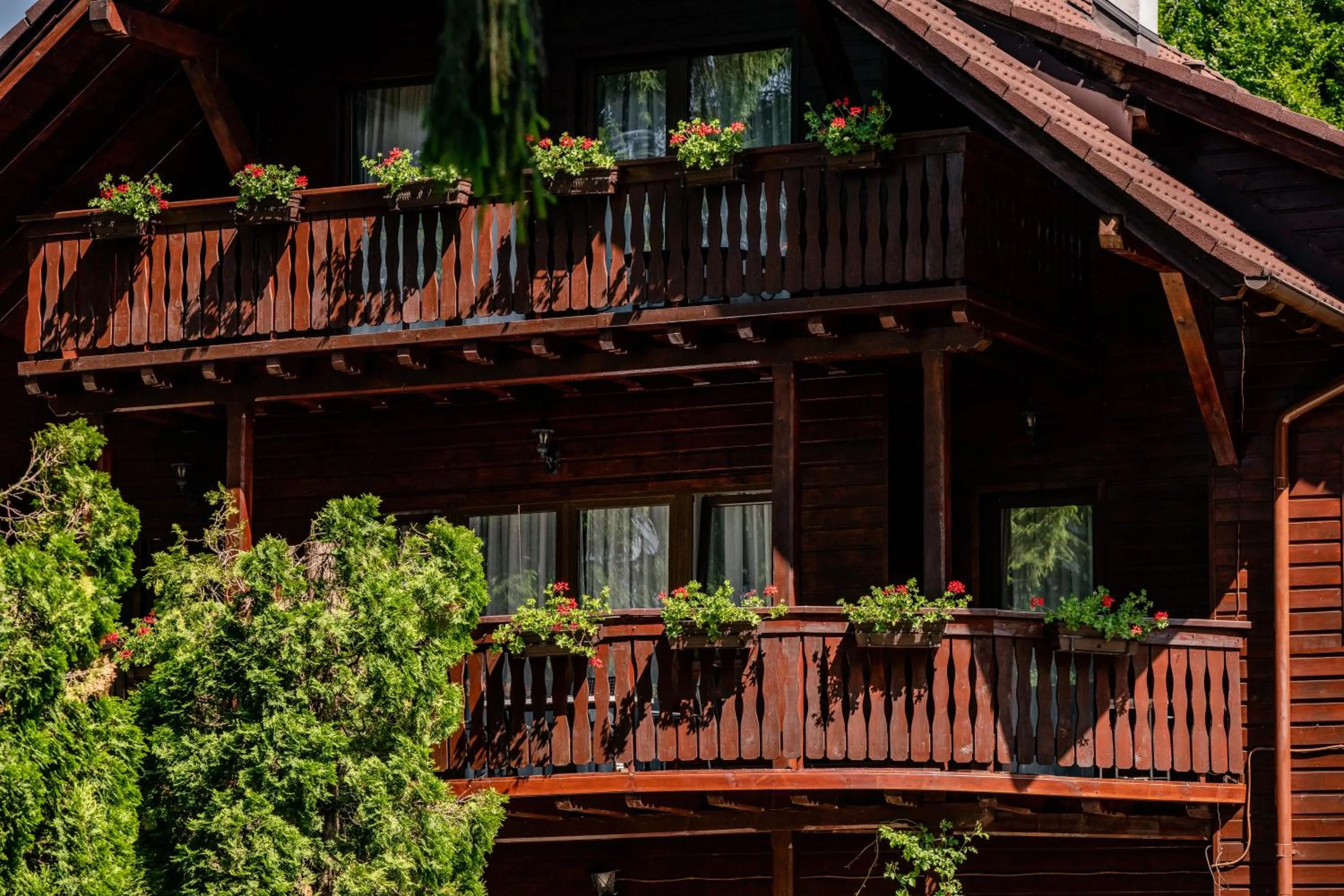 Property building in Vila Zorile