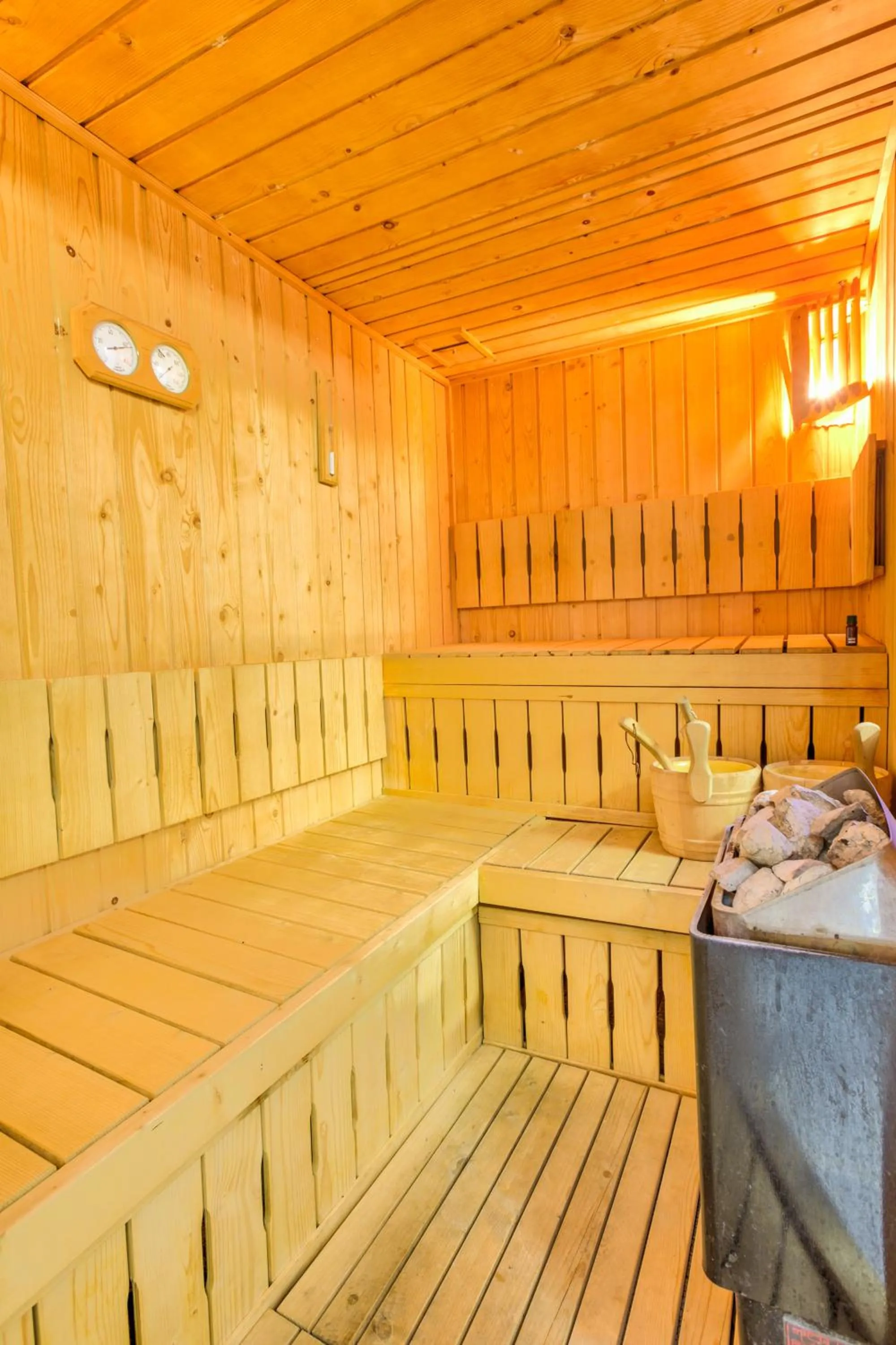 Sauna in Vila Zorile