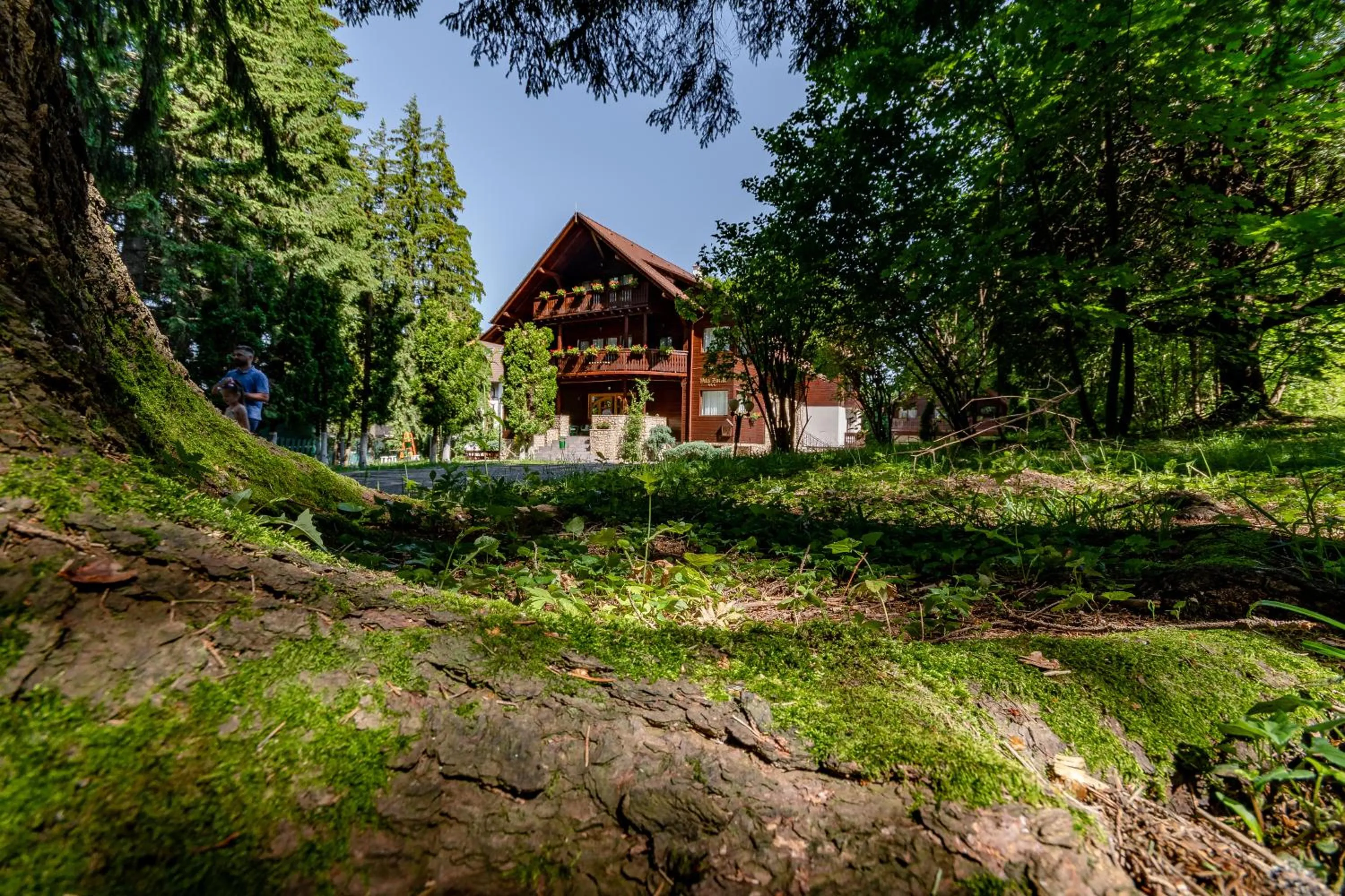 Property building in Vila Zorile