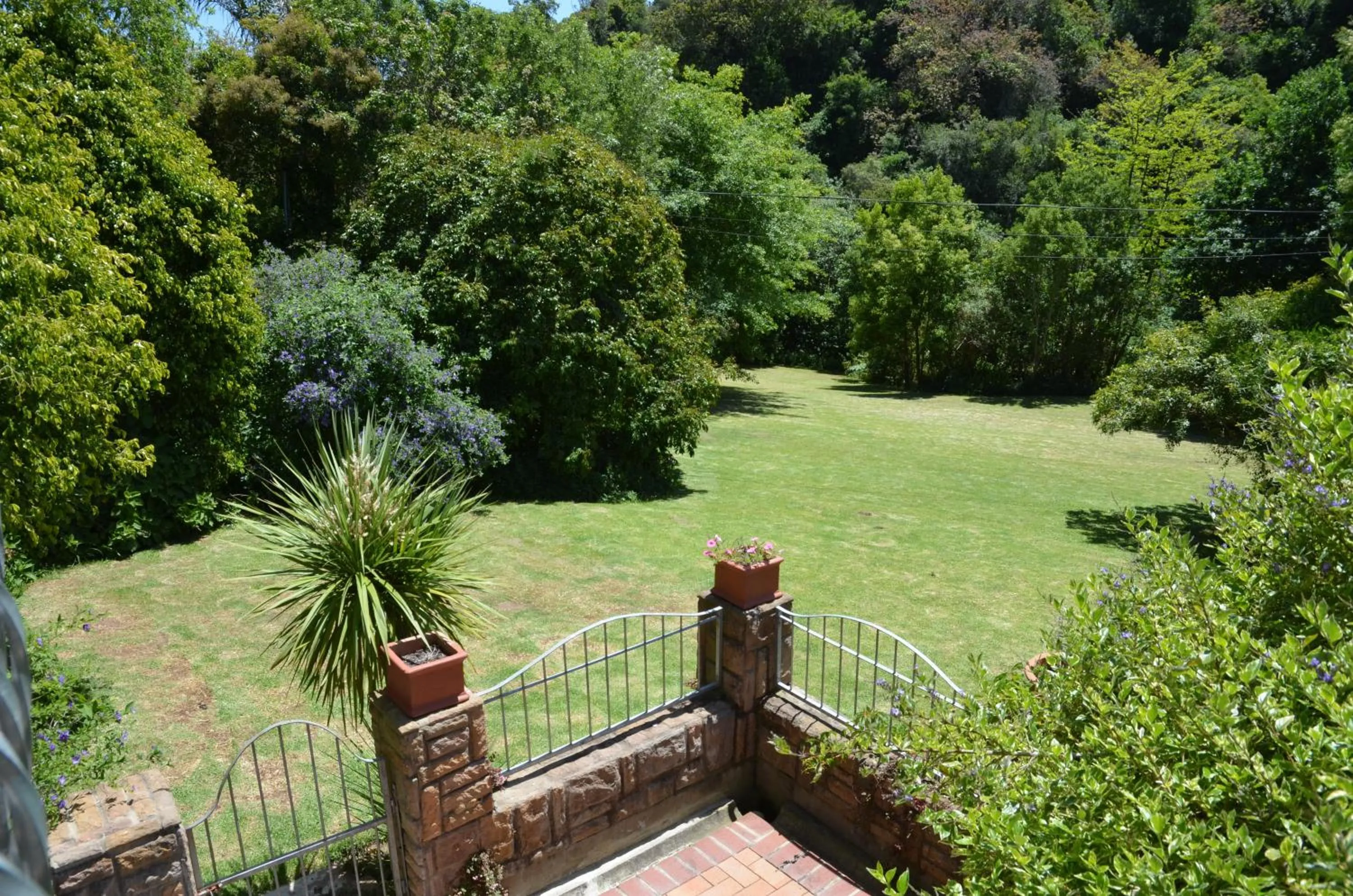 Garden in Edenwood House