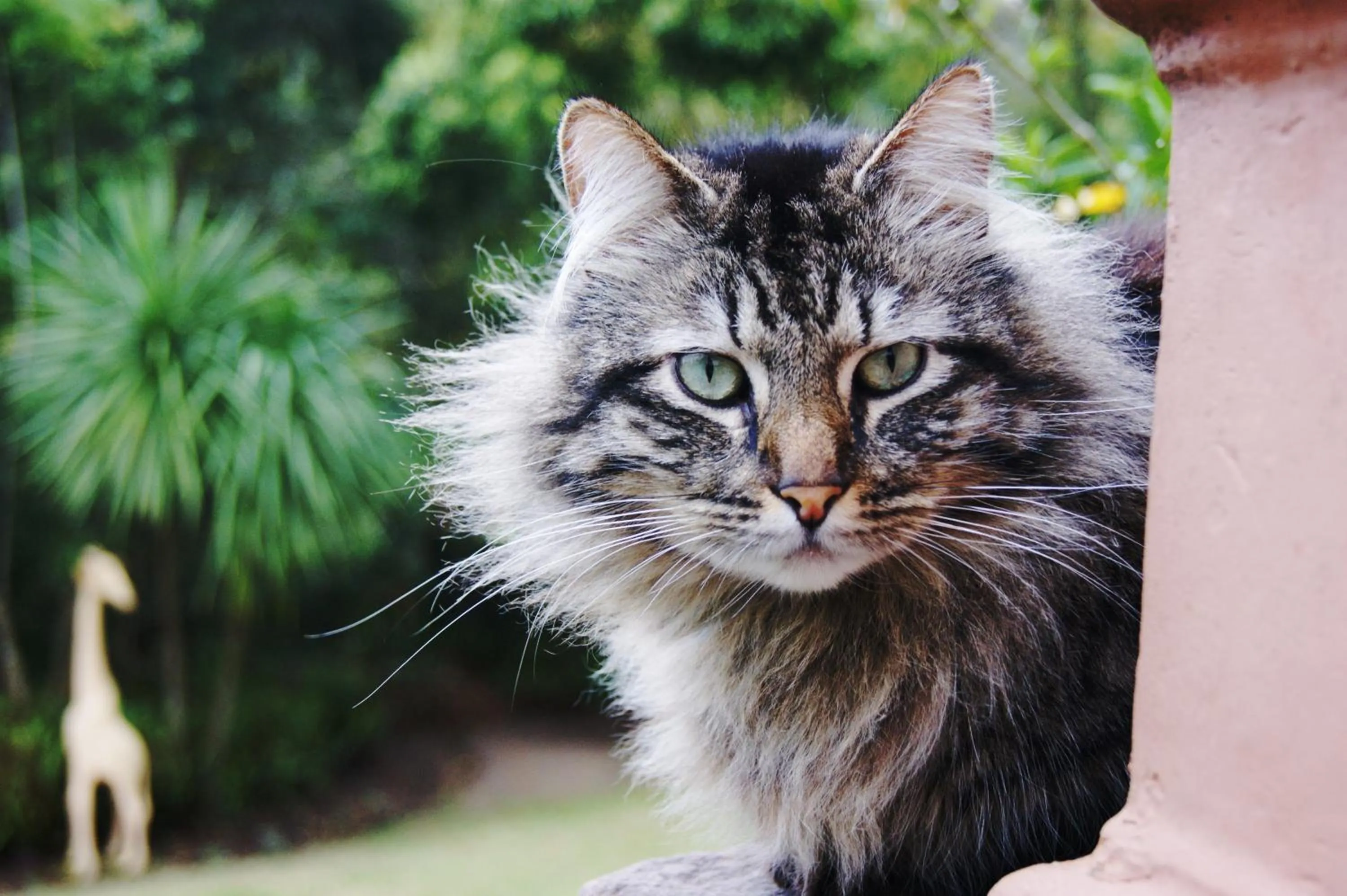 Garden in Edenwood House