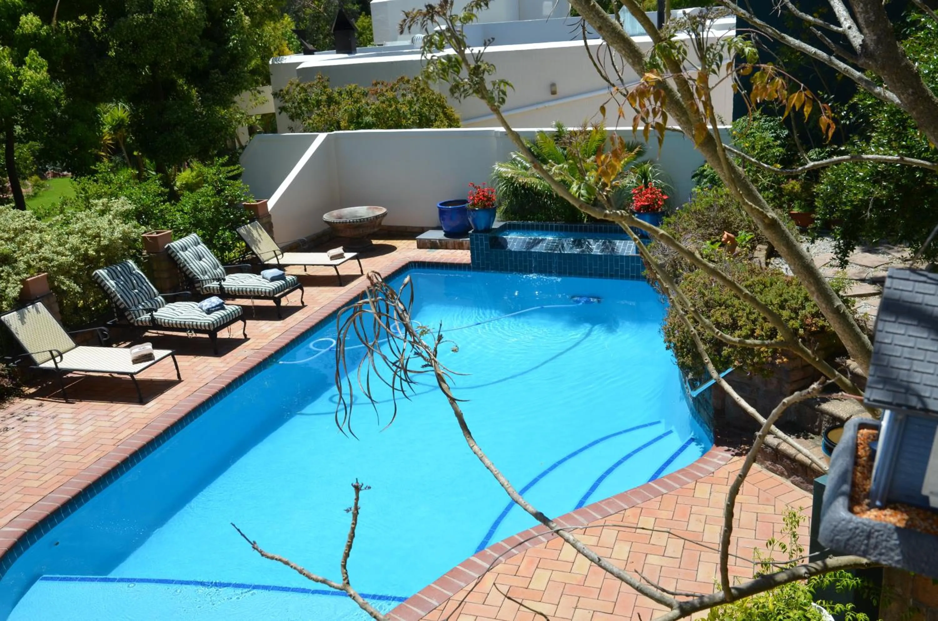 Swimming pool in Edenwood House
