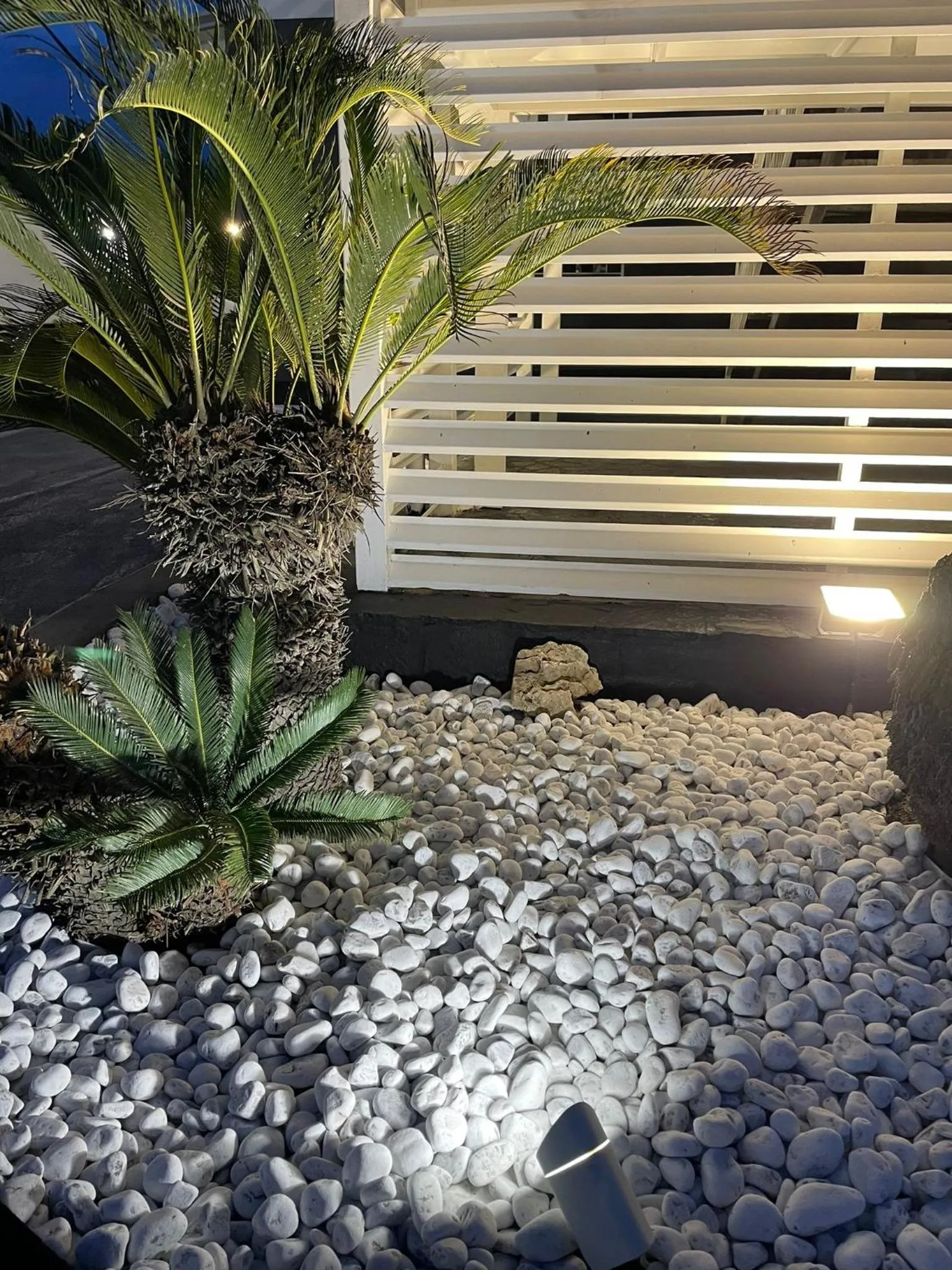 Garden in Hotel Cristian