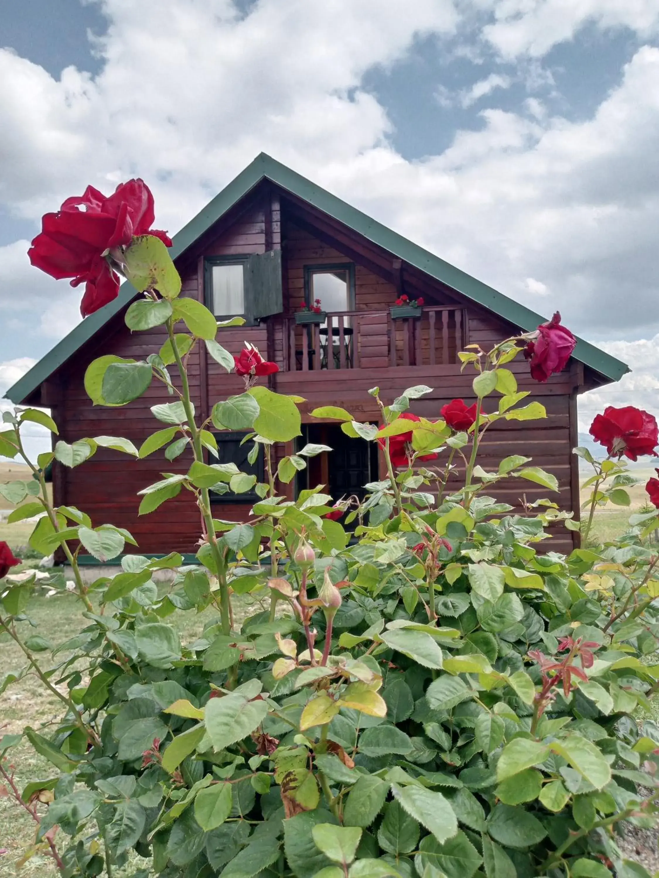 Boskovica Brvnare Boskovica Brvnare