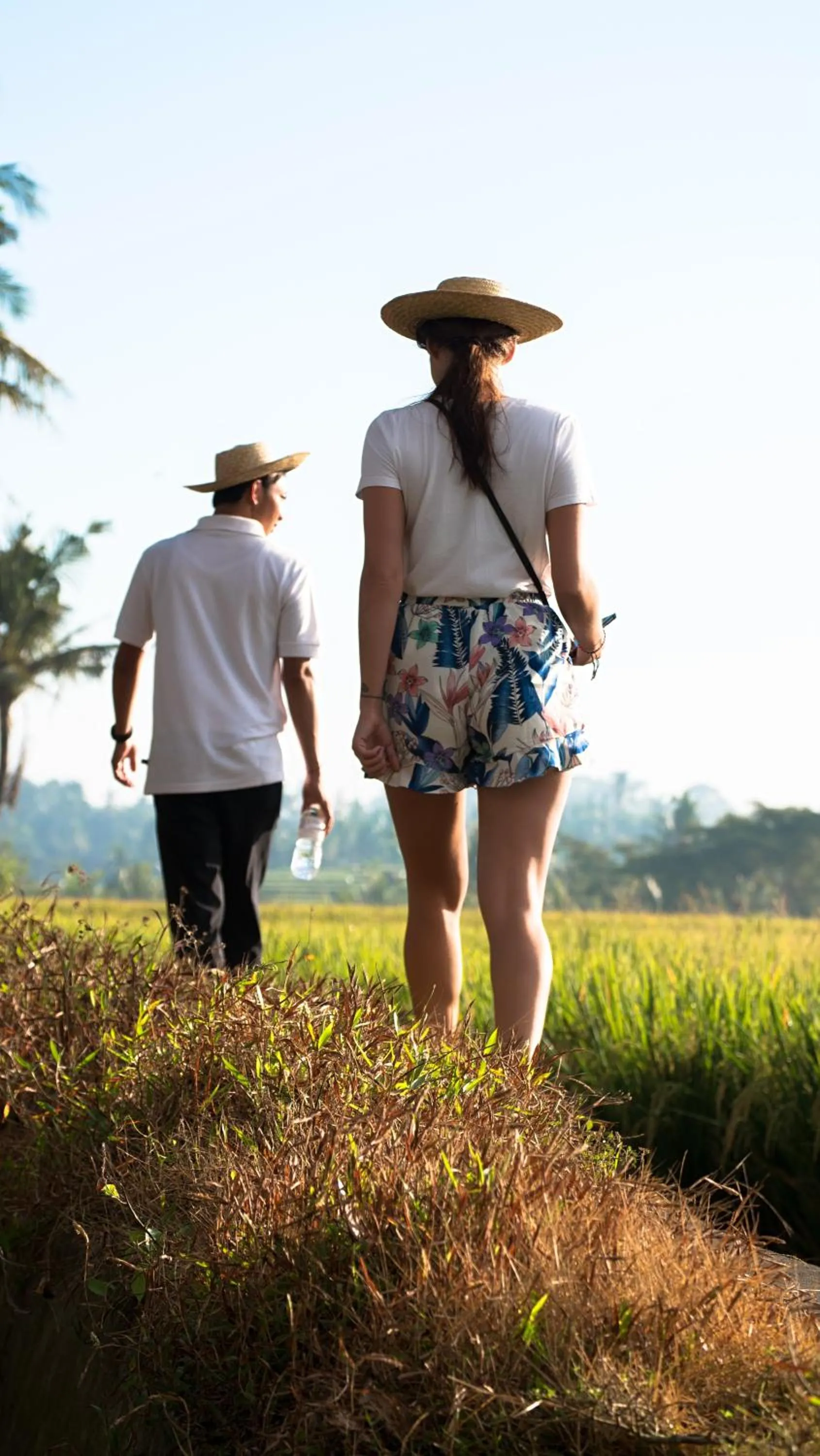 Activities in Ubud Nyuh Bali Resort & Spa