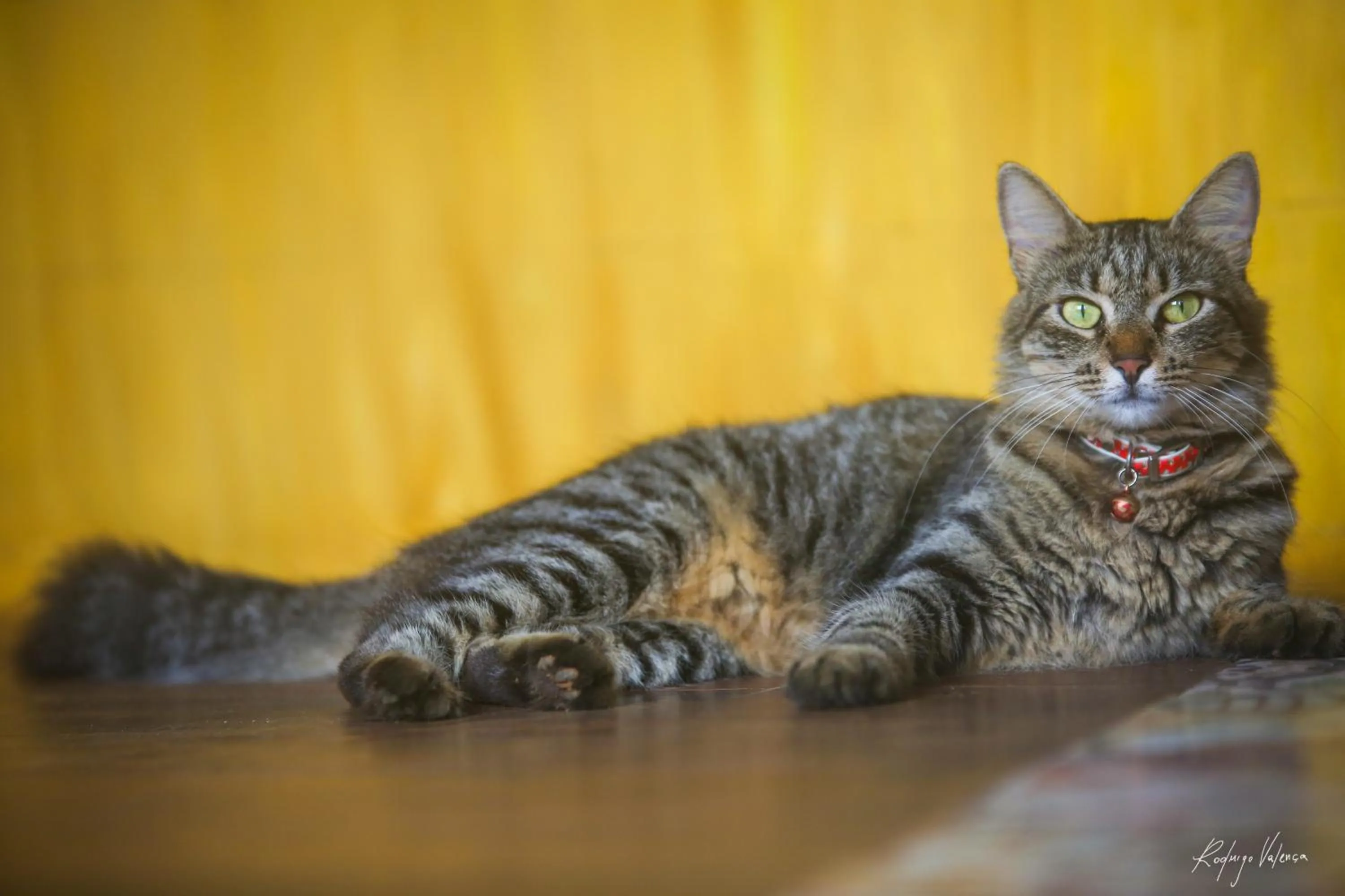 Communal lounge/ TV room in Beco Pousada Boutique