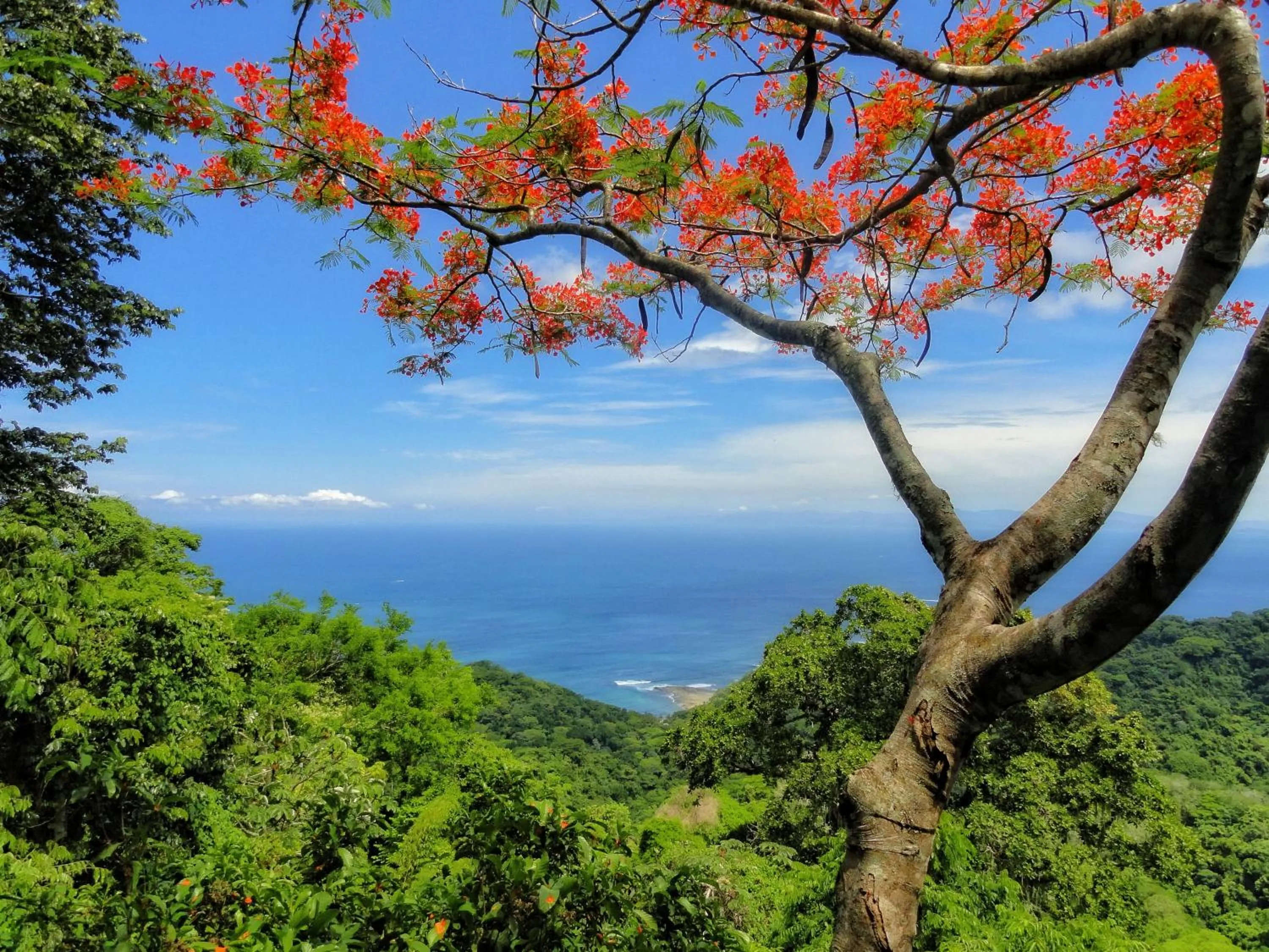 Natural landscape in Hotel Villa Caletas