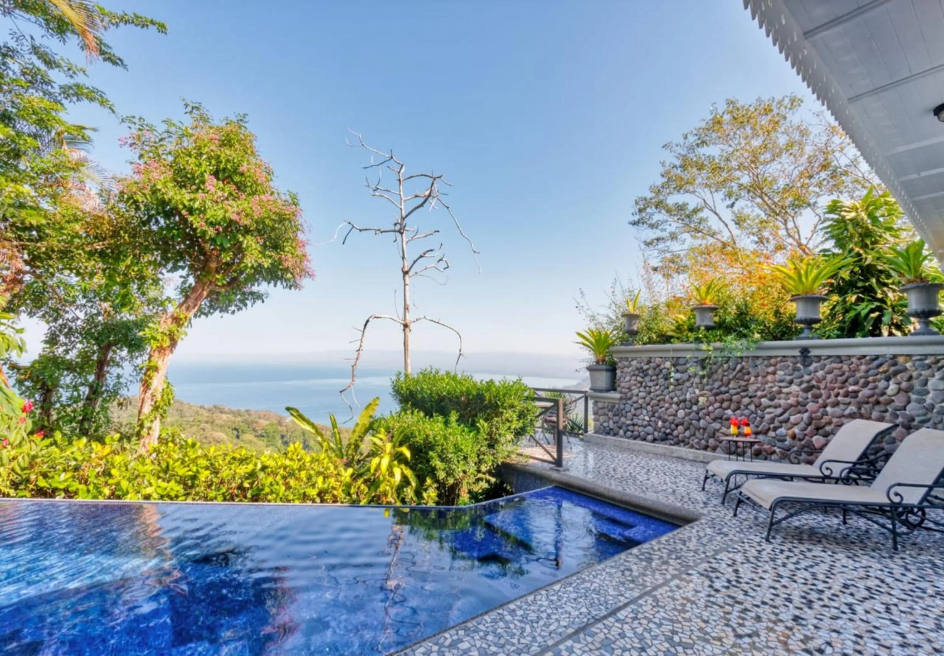 Garden view in Hotel Villa Caletas