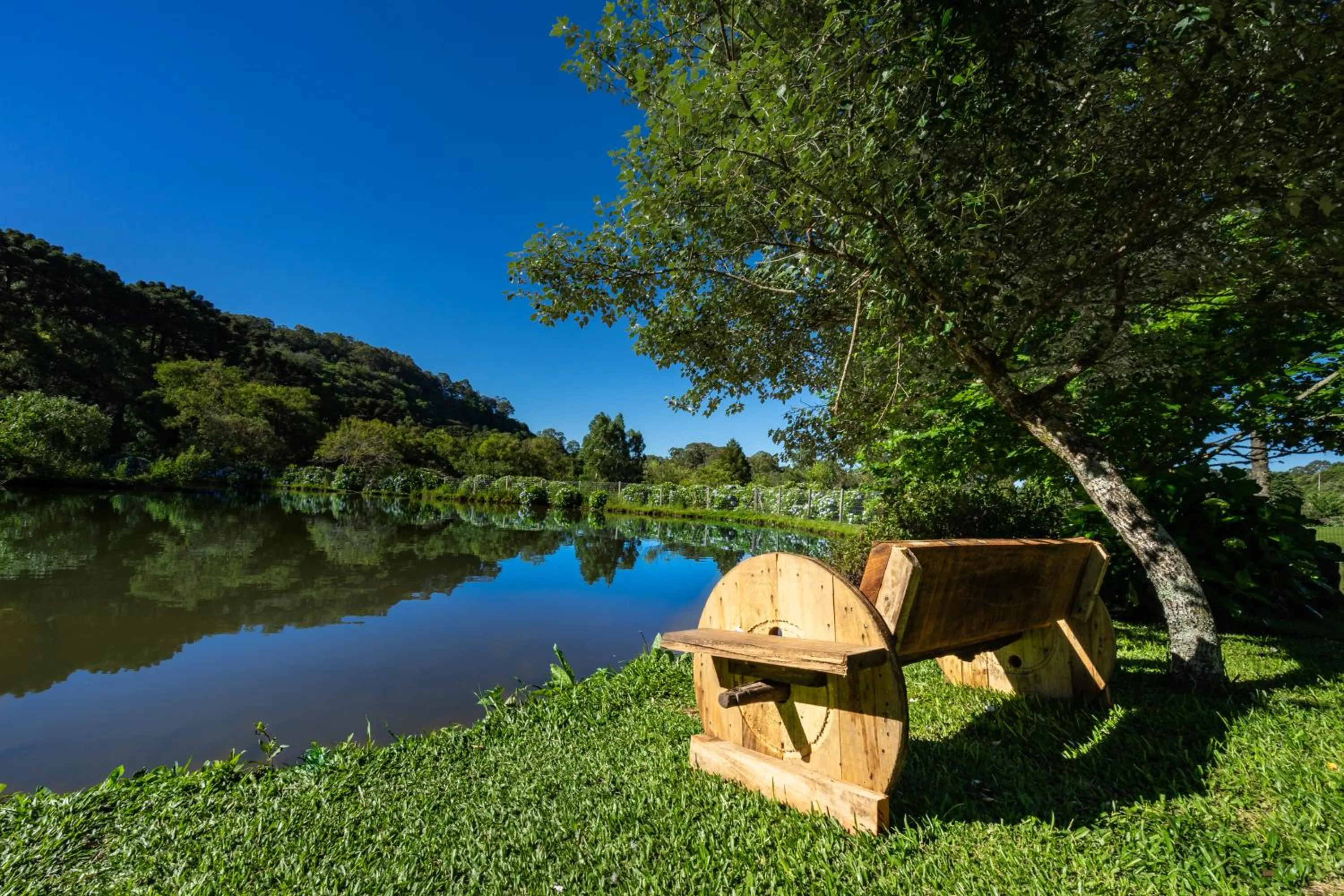 Natural landscape in Hotel Fioreze Chalés