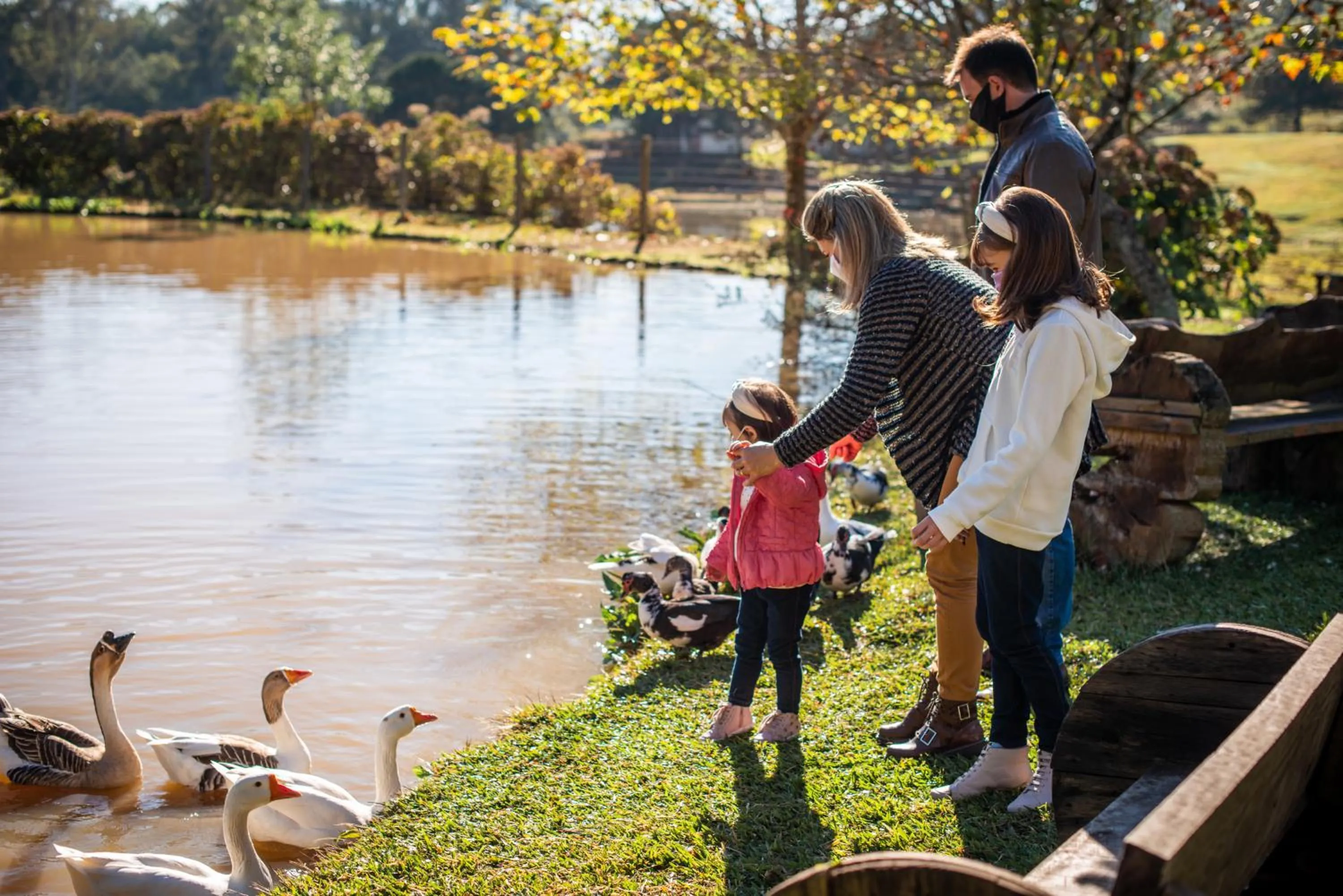Pets in Hotel Fioreze Chalés