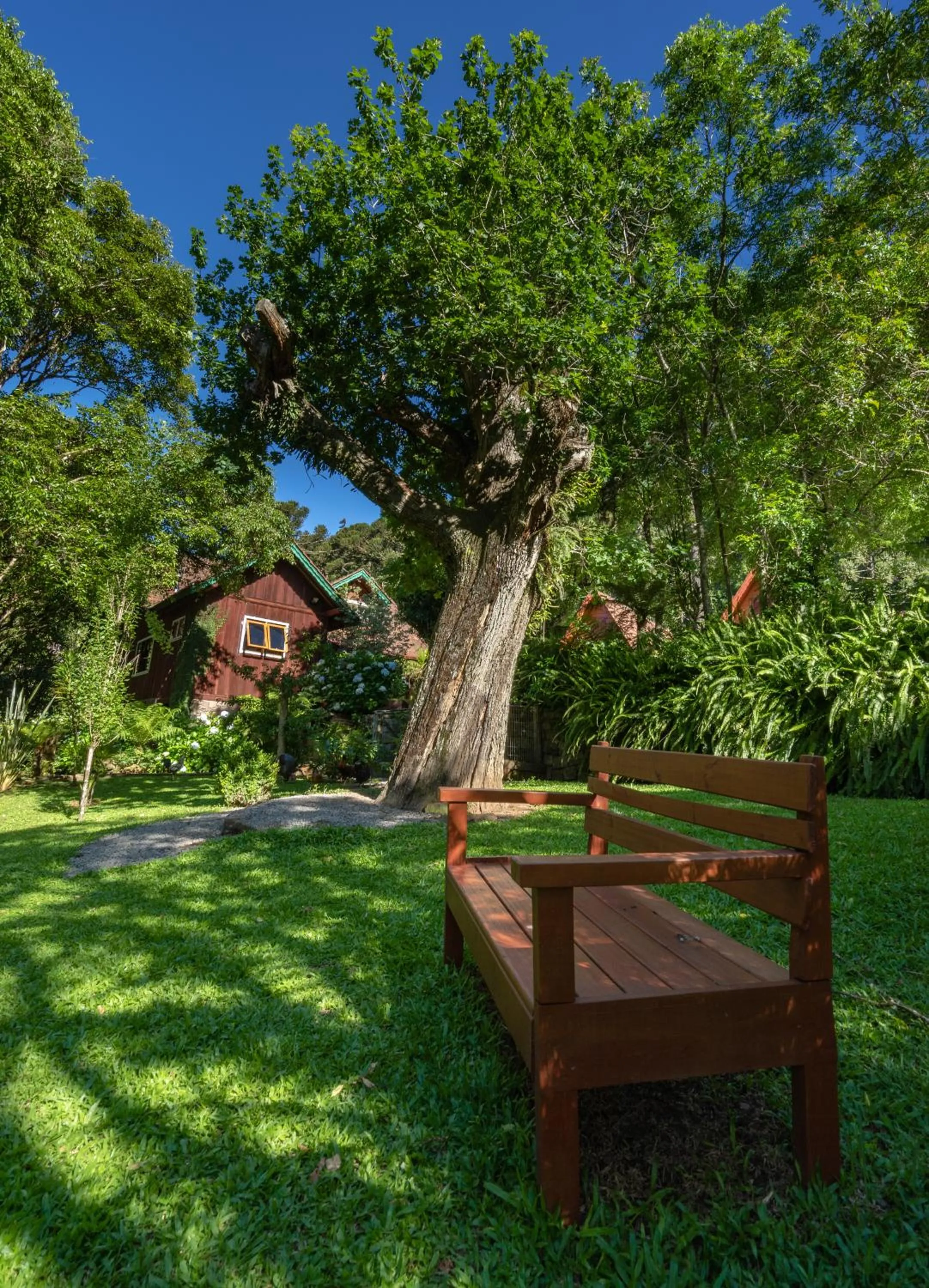 Entertainment in Hotel Fioreze Chalés