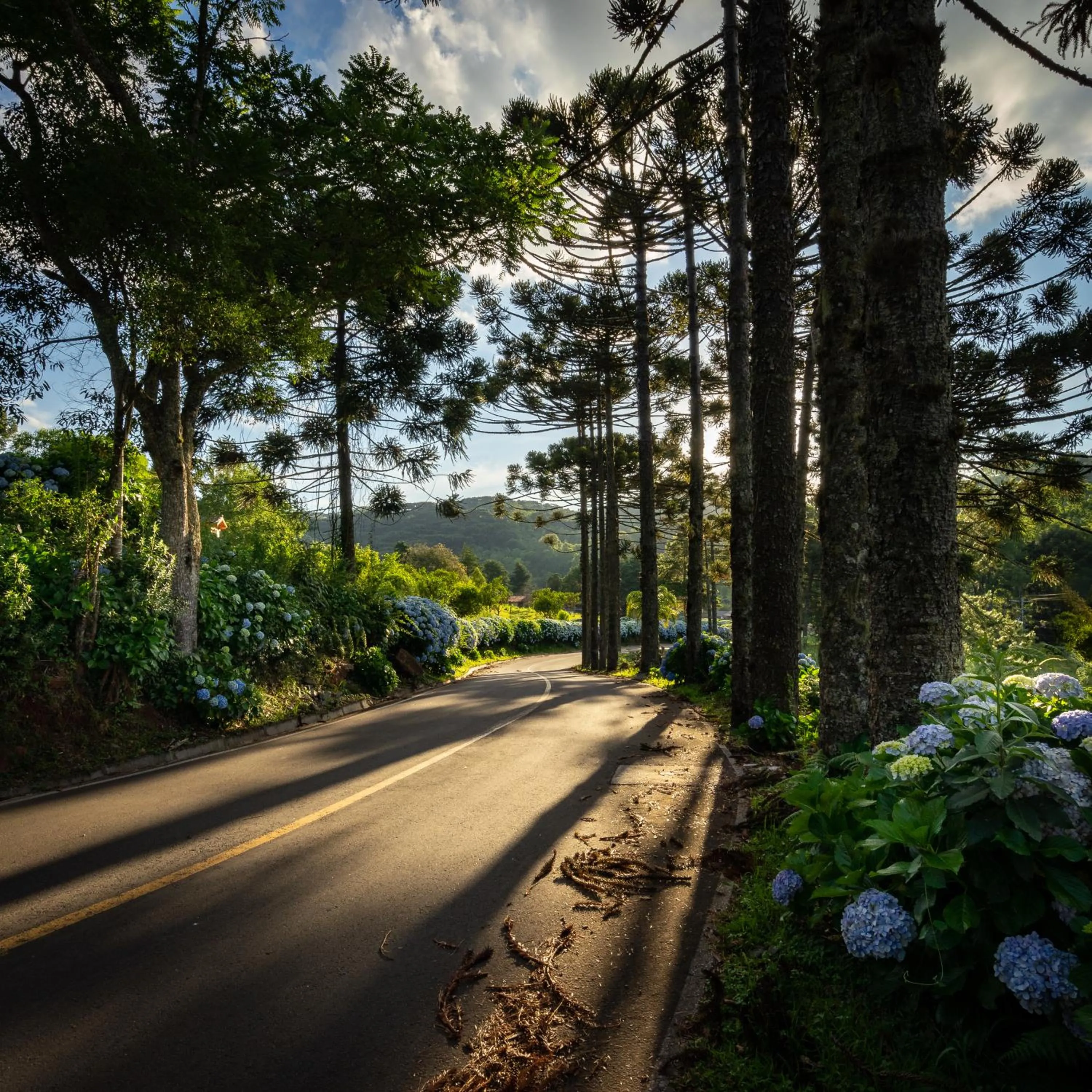 Other in Hotel Fioreze Chalés