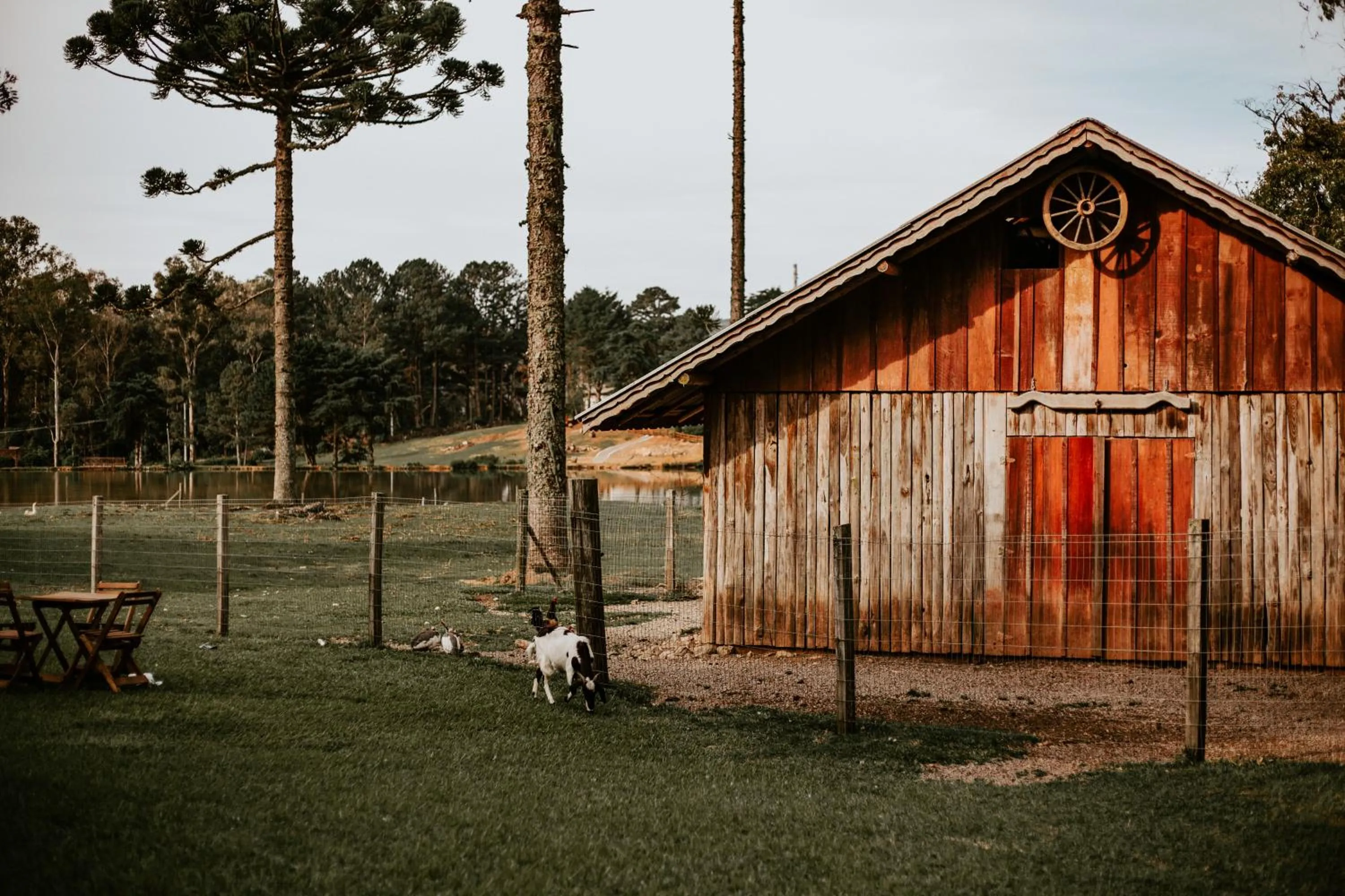 Garden in Hotel Fioreze Chalés
